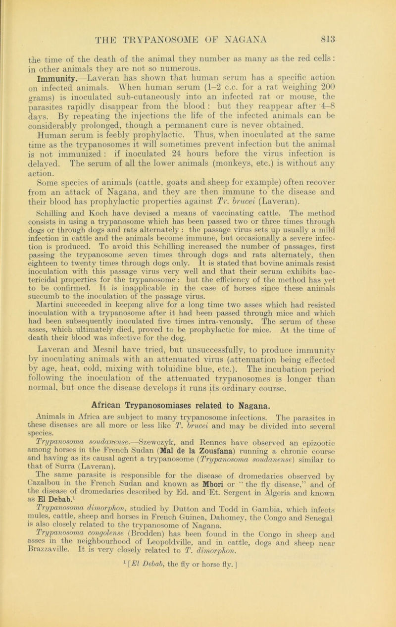 the time of the death of the animal they number as many as the red cells: in other animals they are not so numerous. Immunity.—Laveran has shown that human serum has a specific action on infected animals. When human serum (1-2 c.c. for a rat weighing 200 grams) is inoculated sub-cutaneously into an infected rat or mouse, the parasites rapidly disappear from the blood : but they reappear after 4-8 days. By repeating the injections the life of the infected animals can be considerably prolonged, though a permanent cure is never obtained. Human serum is feebly prophylactic. Thus, when inoculated at the same time as the trypanosomes it will sometimes prevent infection but the animal is not immunized : if inoculated 24 hours before the virus infection is delayed. The serum of all the lower animals (monkeys, etc.) is without any action. Some species of animals (cattle, goats and sheep for example) often recover from an attack of Nagana, and they are then immune to the disease and their blood has prophylactic properties against Tr. brucei (Laveran). Schilling and Koch have devised a means of vaccinating cattle. The method consists in using a trypanosome which has been passed two or three times through dogs or through dogs and rats alternately : the passage virus sets up usually a mild infection in cattle and the animals become immune, but occasionally a severe infec- tion is produced. To avoid this Schilling increased the number of passages, first passing the trypanosome seven times through dogs and rats alternately, then eighteen to twenty times through dogs only. It is stated that bovine animals resist inoculation with this passage virus very well and that their serum exhibits bac- tericidal properties for the trypanosome : but the efficiency of the method has yet to be confirmed. It is inapplicable in the case of horses since these animals succumb to the inoculation of the passage virus. Martini succeeded in keeping alive for a long time two asses which had resisted inoculation with a trypanosome after it had been passed through mice and which had been subsequently inoculated five times intra-venously. The serum of these asses, which ultimately died, proved to be prophylactic for mice. At the time of death their blood was infective for the dog. Laveran and Mesnil have tried, but unsuccessfully, to produce immunity by inoculating animals with an attenuated virus (attenuation being effected by age, heat, cold, mixing with toluidine blue, etc.). The incubation period following the inoculation of the attenuated trypanosomes is longer than normal, but once the disease develops it runs its ordinary course. African Trypanosomiases related to Nagana. Animals in Africa are subject to many trypanosome infections. The parasites in these diseases are all more or less like T. brucei and may be divided into several species. Trypanosoma soudanense.—Szewczyk, and Rennes have observed an epizootic among horses in the French Sudan (Mai de la Zousfana) running a chronic course and having as its causal agent a trypanosome (Trypanosoma soudanense) similar to that of Surra (Laveran). The same parasite is responsible for the disease of dromedaries observed by Cazalbou in the French Sudan and known as Mbori or “ the fly disease,” and of the disease of dromedaries described by Ed. and Et. Sergent in Algeria and known as El Debab.1 Trypanosoma dimorphon, studied by Dutton and Todd in Gambia, which infects mules, cattle, sheep and horses in French Guinea, Dahomey, the Congo and Senegal is also closely related to the trypanosome of Nagana. Trypanosoma congolense (Brodden) has been found in the Congo in sheep and asses in the neighbourhood of Leopoldville, and in cattle, dogs and sheep near Brazzaville. It is very closely related to T. dimorplion. 1[El Debab, the fly or horse fly. ]