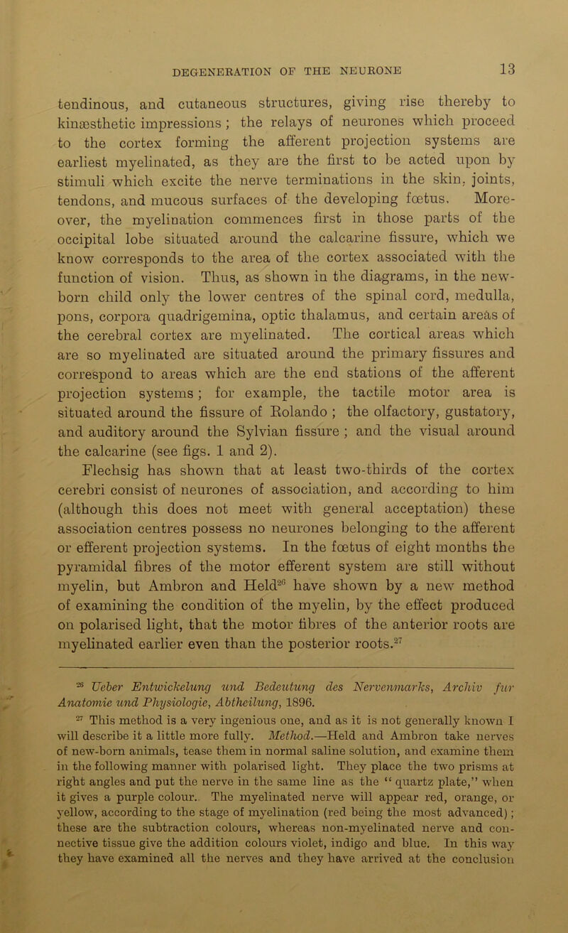 tendinous, and cutaneous structures, giving rise thereby to kimestlietic impressions ; the relays of neurones which proceed to the cortex forming the afferent projection systems are earliest myelinated, as they are the first to be acted upon by stimuli which excite the nerve terminations in the skin, joints, tendons, and mucous surfaces of the developing foetus. More- over, the myelination commences first in those parts of the occipital lobe situated around the calcarine fissure, which we know corresponds to the area of the cortex associated with the function of vision. Thus, as shown in the diagrams, in the newT- born child only the lower centres of the spinal cord, medulla, pons, corpora quadrigemina, optic thalamus, and certain areas of the cerebral cortex are myelinated. The cortical areas which are so myelinated are situated around the primary fissures and correspond to areas which are the end stations of the afferent projection systems; for example, the tactile motor area is situated around the fissure of Eolando ; the olfactory, gustatory, and auditory around the Sylvian fissure ; and the visual around the calcarine (see figs. 1 and 2). Flechsig has shown that at least two-thirds of the cortex cerebri consist of neurones of association, and according to him (although this does not meet with general acceptation) these association centres possess no neurones belonging to the afferent or efferent projection systems. In the foetus of eight months the pyramidal fibres of the motor efferent system are still without myelin, but Ambron and Held20 have shown by a new method of examining the condition of the myelin, by the effect produced on polarised light, that the motor fibres of the anterior roots are myelinated earlier even than the posterior roots.27 26 Ueber Entwickelung und Bedeutung des Nervenmarks, Arcliiv fur Anatomic und Physiologic, Abthcilung, 1896. 27 This method is a very ingenious one, and as it is not generally known I will describe it a little more fully. Method.—Held and Ambron take nerves of new-born animals, tease them in normal saline solution, and examine them in the following manner with polarised light. They place the two prisms at right angles and put the nerve in the same line as the “ quartz plate,” when it gives a purple colour. The myelinated nerve will appear red, orange, or yellow, according to the stage of myelination (red being the most advanced); these are the subtraction colours, whereas non-myelinated nerve and con- nective tissue give the addition colours violet, indigo and blue. In this way they have examined all the nerves and they have arrived at the conclusion