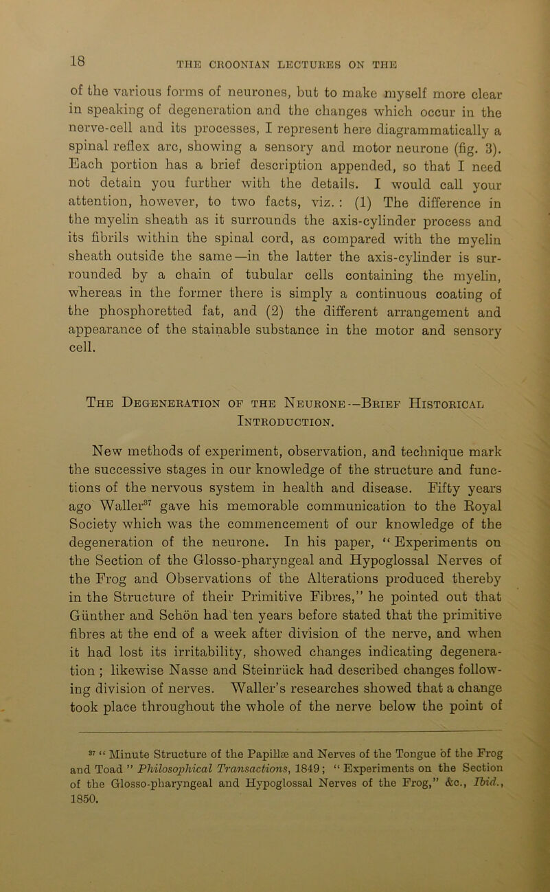 of the various forms of neurones, but to make myself more clear in speaking of degeneration and the changes which occur in the nerve-cell and its processes, I represent here diagrammatically a spinal reflex arc, showing a sensory and motor neurone (fig. 3). Each portion has a brief description appended, so that I need not detain you further with the details. I would call your attention, however, to two facts, viz. : (1) The difference in the myelin sheath as it surrounds the axis-cylinder process and its fibrils within the spinal cord, as compared with the myelin sheath outside the same—in the latter the axis-cylinder is sur- rounded by a chain of tubular cells containing the myelin, whereas in the former there is simply a continuous coating of the phosphoretted fat, and (2) the different arrangement and appearance of the stainable substance in the motor and sensory cell. The Degeneration of the Neurone—Brief Historical Introduction. New methods of experiment, observation, and technique mark the successive stages in our knowledge of the structure and func- tions of the nervous system in health and disease. Fifty years ago Waller37 gave his memorable communication to the Boyal Society which was the commencement of our knowledge of the degeneration of the neurone. In his paper, “ Experiments on the Section of the Glosso-pharyngeal and Hypoglossal Nerves of the Frog and Observations of the Alterations produced thereby in the Structure of their Primitive Fibres,” he pointed out that Gunther and Schon had ten years before stated that the primitive fibres at the end of a week after division of the nerve, and when it had lost its irritability, showed changes indicating degenera- tion ; likewise Nasse and Steinriick had described changes follow- ing division of nerves. Waller’s researches showed that a change took place throughout the whole of the nerve below the point of 37 “ Minute Structure of the Papillae and Nerves of the Tongue 'of the Frog and Toad ” Philosophical Transactions, 1849 ; “ Experiments on the Section of the Glosso-pharyngeal and Hypoglossal Nerves of the Frog,” &c., Ibid., 1850.