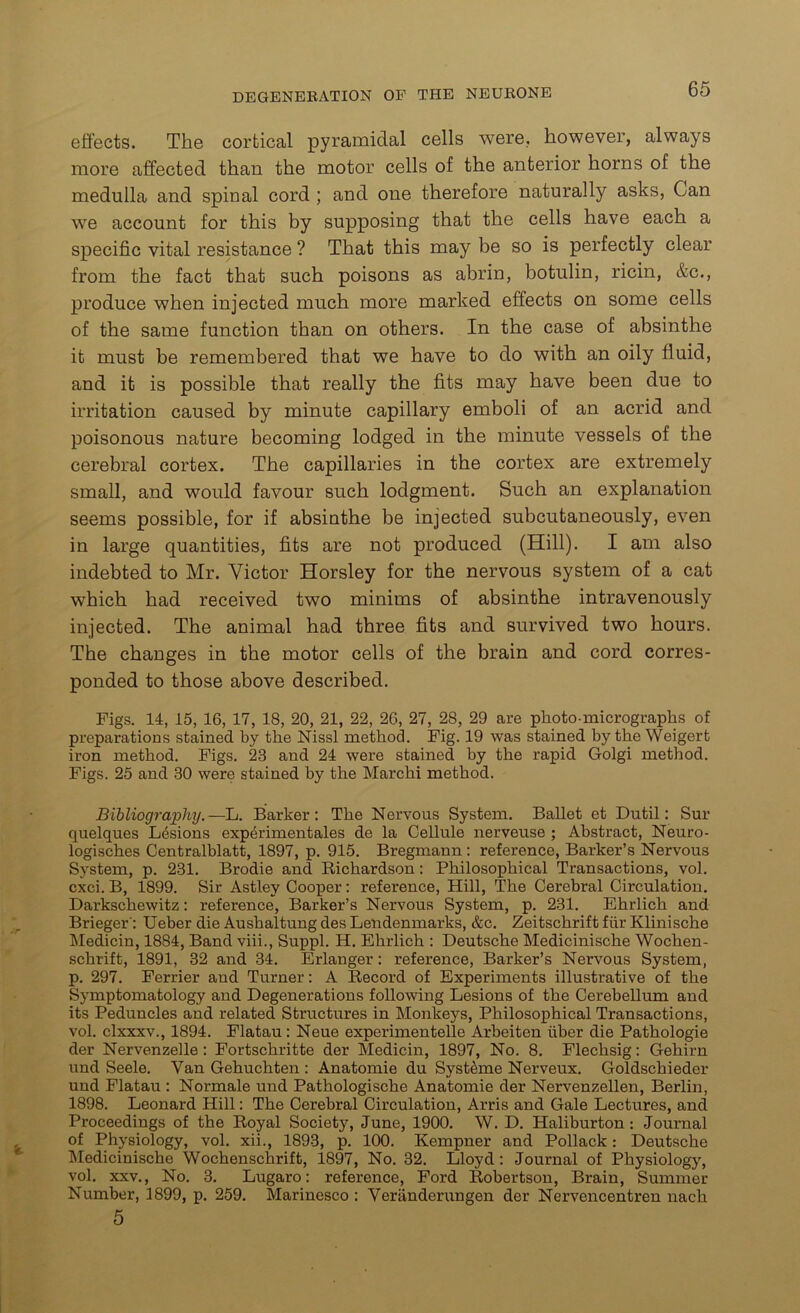 effects. The cortical pyramidal cells were, however, always more affected than the motor cells of the anterior horns of the medulla and spinal cord ; and one therefore naturally asks, Can we account for this by supposing that the cells have each a specific vital resistance ? That this may be so is perfectly clear from the fact that such poisons as abrin, botulin, ricin, &c., produce when injected much more marked effects on some cells of the same function than on others. In the case of absinthe it must be remembered that we have to do with an oily fluid, and it is possible that really the fits may have been due to irritation caused by minute capillary emboli of an acrid and poisonous nature becoming lodged in the minute vessels of the cerebral cortex. The capillaries in the cortex are extremely small, and would favour such lodgment. Such an explanation seems possible, for if absinthe be injected subcutaneously, even in large quantities, fits are not produced (Hill). I am also indebted to Mr. Victor Horsley for the nervous system of a cat which had received two minims of absinthe intravenously injected. The animal had three fits and survived two hours. The changes in the motor cells of the brain and cord corres- ponded to those above described. Figs. 14, 15, 16, 17, 18, 20, 21, 22, 26, 27, 28, 29 are photo-micrographs of preparations stained by the Nissl method. Fig. 19 was stained by the Weigert iron method. Figs. 23 and 24 were stained by the rapid Golgi method. Figs. 25 and 30 were stained by the Marchi method. Bibliography.—L. Barker: The Nervous System. Ballet et Dutil: Sur quelques Lesions experimentales de la Cellule nerveuse ; Abstract, Neuro- logisches Centralblatt, 1897, p. 915. Bregmann : reference, Barker’s Nervous System, p. 231. Brodie and Richardson: Philosophical Transactions, vol. cxci. B, 1899. Sir Astley Cooper: reference, Hill, The Cerebral Circulation. Darkschewitz: reference, Barker’s Nervous System, p. 231. Ehrlich and Brieger': Ueber die Aushaltung des Lendenmarks, &c. Zeitschrift fur Klinische Medicin, 1884, Band viii., Suppl. H. Ehrlich : Deutsche Medicinische Wochen- schrift, 1891, 32 and 34. Erlanger: reference, Barker’s Nervous System, p. 297. Ferrier and Turner: A Record of Experiments illustrative of the Symptomatology and Degenerations following Lesions of the Cerebellum and its Peduncles and related Structures in Monkeys, Philosophical Transactions, vol. clxxxv., 1894. Flatau: Neue experimentelle Arbeiten iiber die Pathologie der Nervenzelle: Fortschritte der Medicin, 1897, No. 8. Flechsig: Gehirn und Seele. Van Gehuchten : Anatomie du Systkme Nerveux. Goldschieder und Flatau : Normale und Pathologische Anatomie der Nervenzellen, Berlin, 1898. Leonard Hill: The Cerebral Circulation, Arris and Gale Lectures, and Proceedings of the Royal Society, June, 1900. W. D. Haliburton : Journal of Physiology, vol. xii., 1893, p. 100. Kempner and Pollack: Deutsche Medicinische Wochenschrift, 1897, No. 32. Lloyd: Journal of Physiology, vol. xxv., No. 3. Lugaro: reference, Ford Robertson, Brain, Summer Number, 1899, p. 259. Marinesco : Veriinderungen der Nervencentren nach 5