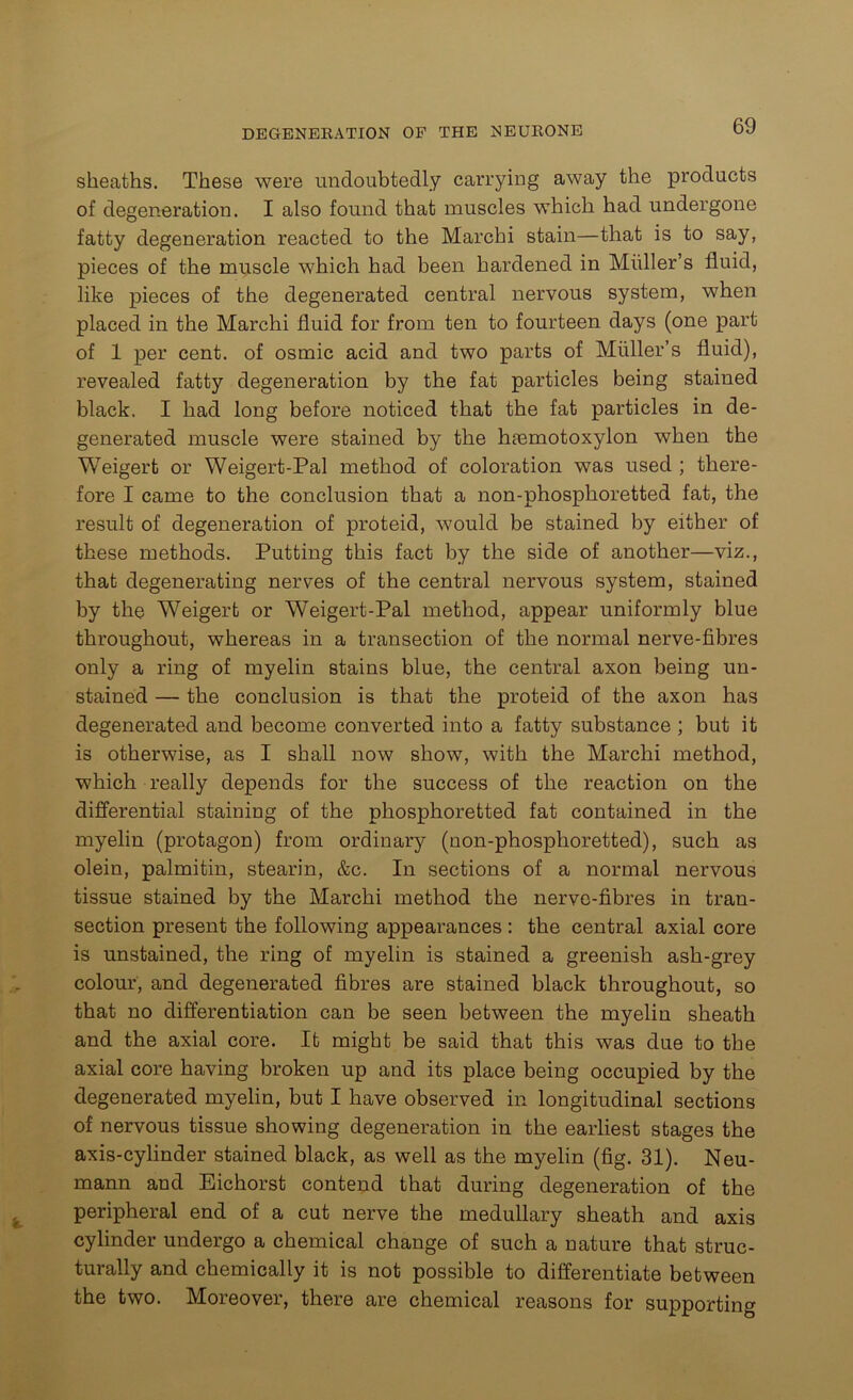 sheaths. These were undoubtedly carrying away the products of degeneration. I also found that muscles which had undergone fatty degeneration reacted to the Marchi stain—that is to say, pieces of the muscle which had been hardened in Muller’s fluid, like pieces of the degenerated central nervous system, when placed in the Marchi fluid for from ten to fourteen days (one part of 1 per cent, of osmic acid and two parts of Muller’s fluid), revealed fatty degeneration by the fat particles being stained black. I had long before noticed that the fat particles in de- generated muscle were stained by the htemotoxylon when the Weigert or Weigert-Pal method of coloration was used ; there- fore I came to the conclusion that a non-phosphoretted fat, the result of degeneration of proteid, would be stained by either of these methods. Putting this fact by the side of another—viz., that degenerating nerves of the central nervous system, stained by the Weigert or Weigert-Pal method, appear uniformly blue throughout, whereas in a transection of the normal nerve-fibres only a ring of myelin stains blue, the central axon being un- stained — the conclusion is that the proteid of the axon has degenerated and become converted into a fatty substance ; but it is otherwise, as I shall now show, with the Marchi method, which really depends for the success of the reaction on the differential staining of the phosphoretted fat contained in the myelin (protagon) from ordinary (non-phosphoretted), such as olein, palmitin, stearin, &c. In sections of a normal nervous tissue stained by the Marchi method the nerve-fibres in tran- section present the following appearances : the central axial core is unstained, the ring of myelin is stained a greenish ash-grey colour, and degenerated fibres are stained black throughout, so that no differentiation can be seen between the myelin sheath and the axial core. It might be said that this was due to the axial core having broken up and its place being occupied by the degenerated myelin, but I have observed in longitudinal sections of nervous tissue showing degeneration in the earliest stages the axis-cylinder stained black, as well as the myelin (fig. 31). Neu- mann and Eichorst contend that during degeneration of the peripheral end of a cut nerve the medullary sheath and axis cylinder undergo a chemical change of such a nature that struc- turally and chemically it is not possible to differentiate between the two. Moreover, there are chemical reasons for supporting
