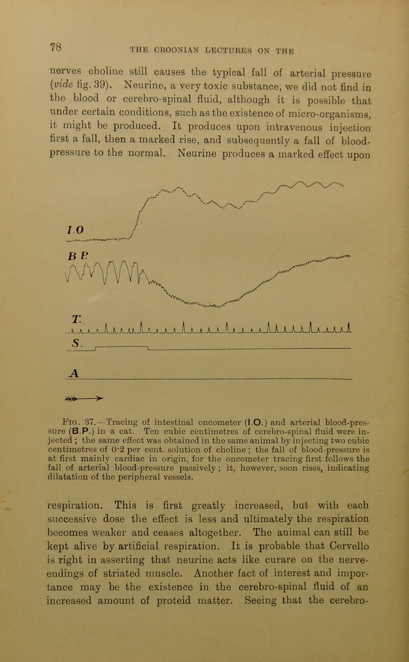 nerves choline still causes the typical fall of arterial pressure (vide fig. 39). Neurine, a very toxic substance, we did not find in the blood or cerebro-spinal fluid, although it is possible that under certain conditions, such as the existence of micro-organisms, it might be produced. It produces upon intravenous injection first a fall, then a marked rise, and subsequently a fall of blood- pressure to the normal. Neurine produces a marked effect upon A > Fig. 37.—Tracing of intestinal oncometer (1.0.) and arterial blood-pres- sure (B.P .) in a cat. Ten cubic centimetres of cerebro-spinal fluid were in- jected ; the same effect was obtained in the same animal by injecting two cubic centimetres of 02 per cent, solution of choline ; the fall of blood-pressure is at first mainly cardiac in origin, for the oncometer tracing first follows the fall of arterial blood-pressure passively; it, however, soon rises, indicating dilatation of the peripheral vessels. respiration. This is first greatly increased, but with each successive dose the effect is less and ultimately the respiration becomes weaker and ceases altogether. The animal can still be kept alive by artificial respiration. It is probable that Cervello is right in asserting that neurine acts like curare on the nerve- endings of striated muscle. Another fact of interest and impor- tance may be the existence in the cerebro-spinal fluid of an increased amount of proteid matter. Seeing that the cerebro-