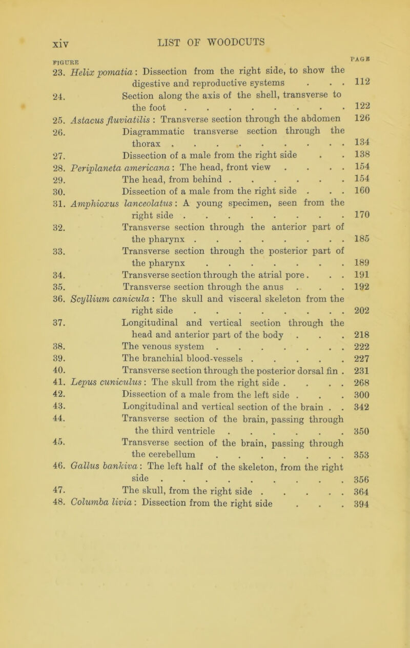 FIGURE 23. Helix pomatia: Dissection from the right side, to show the digestive and reproductive systems . . • 24. Section along the axis of the shell, transverse to the foot 25. Astacus fluviatilis : Transverse section through the abdomen 26. Diagrammatic transverse section through the thorax . . . 27. Dissection of a male from the right side 28. Periplaneta americana: The head, front view . . . . 29. The head, from behind 30. Dissection of a male from the right side . . . 81. Ampliioxus lanceolatus: A young specimen, seen from the right side 32. Transverse section through the anterior part of the pharynx 33. Transverse section through the posterior part of the pharynx 34. Transverse section through the atrial pore. . . 35. Transverse section through the anus 36. Scyllium canicula : The skull and visceral skeleton from the right side 37. Longitudinal and vertical section through the head and anterior part of the body 38. The venous system 39. The branchial blood-vessels . ... . 40. Transverse section through the posterior dorsal fin . 41. Lepus cuniculus : The skull from the right side . . . . 42. Dissection of a male from the left side . 43. Longitudinal and vertical section of the brain . . 44. Transverse section of the brain, passing through the third ventricle ...... 45. Transverse section of the brain, passing through the cerebellum ....... 46. Gallus bankiva: The left half of the skeleton, from the right side ......... 47. The skull, from the right side 48. Columba livia: Dissection from the right side PAGB 112 122 126 134 138 154 154 160 170 185 189 191 192 202 218 222 227 231 268 300 342 350 353 356 364 394
