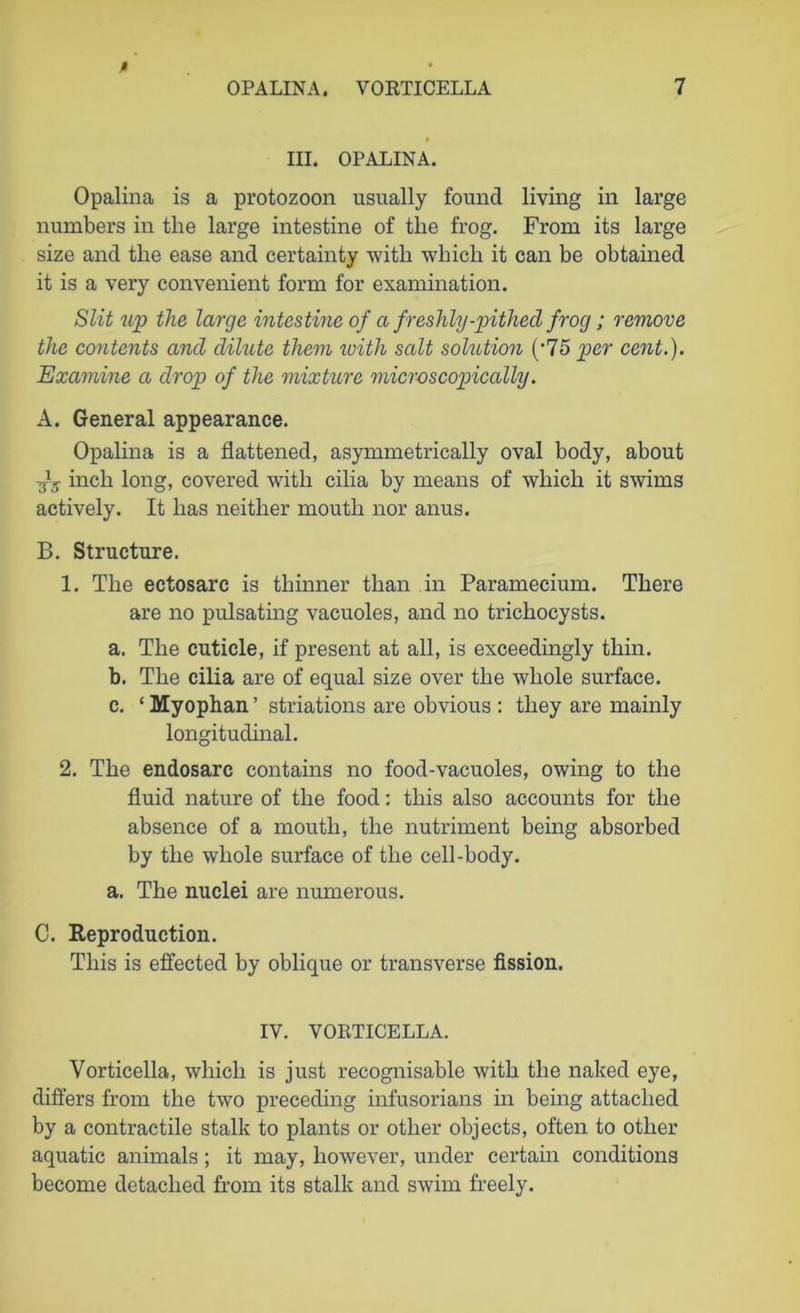 0 OP ALIN A. VORTICELLA 7 III. OPALINA. Opalina is a protozoon usually found living in large numbers in the large intestine of the frog. From its large size and the ease and certainty with which it can be obtained it is a very convenient form for examination. Slit up the large intestine of a freshly-pithed frog; remove the contents and dilute them with salt solution (*75 per cent.). Examine a drop of the mixture microscopically. A. General appearance. Opalina is a flattened, asymmetrically oval body, about -fg inch long, covered with cilia by means of which it swims actively. It has neither mouth nor anus. B. Structure. 1. The ectosarc is thinner than in Paramecium. There are no pulsating vacuoles, and no trichocysts. a. The cuticle, if present at all, is exceedingly thin. b. The cilia are of equal size over the whole surface. c. ‘ Myophan ’ striations are obvious : they are mainly longitudinal. 2. The endosarc contains no food-vacuoles, owing to the fluid nature of the food: this also accounts for the absence of a mouth, the nutriment being absorbed by the whole surface of the cell-body. a. The nuclei are numerous. C. Reproduction. This is effected by oblique or transverse fission. IV. VORTICELLA. Vorticella, which is just recognisable with the naked eye, differs from the two preceding infusorians in being attached by a contractile stalk to plants or other objects, often to other aquatic animals; it may, however, under certain conditions become detached from its stalk and swim freely.