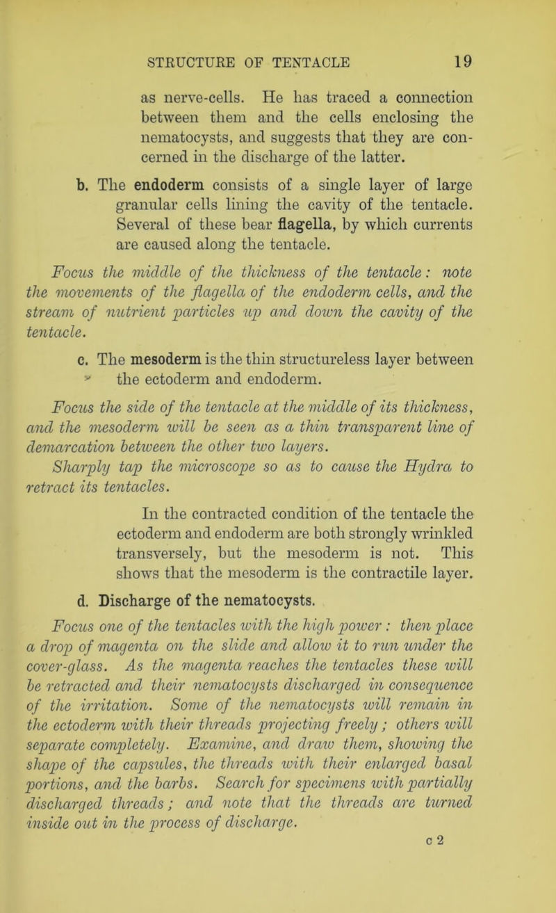 as nerve-cells. He lias traced a connection between them and the cells enclosing the nematocysts, and suggests that they are con- cerned in the discharge of the latter. b. The endoderni consists of a single layer of large granular cells lining the cavity of the tentacle. Several of these bear flagella, by which currents are caused along the tentacle. Focus the middle of the thickness of the tentacle: note the movements of the flagella of the endoclerm cells, and the stream of nutrient 'particles tip and down the cavity of the tentacle. c. The mesoderm is the thin structureless layer between v the ectoderm and endoderm. Focus the side of the tentacle at the middle of its thickness, and the mesoderm will be seen as a thin transparent line of demarcation between the other two layers. Sharply tap the microscope so as to cause the Hydra to retract its tentacles. In the contracted condition of the tentacle the ectoderm and endoderm are both strongly wrinkled transversely, but the mesoderm is not. This shows that the mesoderm is the contractile layer. d. Discharge of the nematocysts. Focus one of the tentacles with the high power: then place a drop of magenta on the slide and allow it to run under the cover-glass. As the magenta reaches the tentacles these will be retracted and their nematocysts discharged in consequence of the irritation. Some of the nematocysts will remain in the ectoderm with their threads projecting freely; others will separate completely. Examine, and draw them, showing the shape of the capsules, the threads with their enlarged basal portions, and the barbs. Search for specimens with partially discharged threads; and note that the threads are turned inside out in the process of discharge.