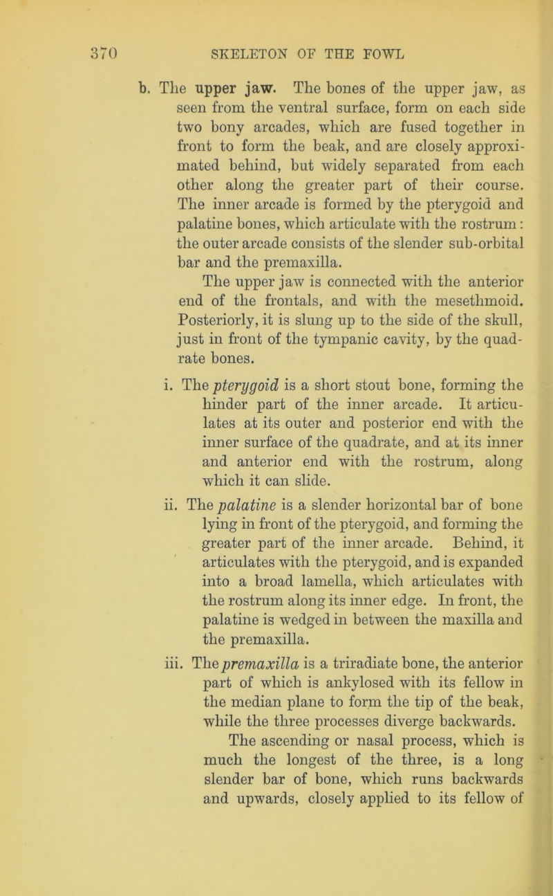 b. The upper jaw. The bones of the upper jaw, as seen from the ventral surface, form on each side two bony arcades, which are fused together in front to form the beak, and are closely approxi- mated behind, but widely separated from each other along the greater part of their course. The inner arcade is formed by the pterygoid and palatine bones, which articulate with the rostrum: the outer arcade consists of the slender sub-orbital bar and the premaxilla. The upper jaw is connected with the anterior end of the frontals, and with the mesetlimoid. Posteriorly, it is slung up to the side of the skull, just in front of the tympanic cavity, by the quad- rate bones. i. The pterygoid is a short stout bone, forming the hinder part of the inner arcade. It articu- lates at its outer and posterior end with the inner surface of the quadrate, and at its inner and anterior end with the rostrum, along which it can slide. ii. The palatine is a slender horizontal bar of bone lying in front of the pterygoid, and forming the greater part of the inner arcade. Behind, it articulates with the pterygoid, and is expanded into a broad lamella, which articulates with the rostrum along its inner edge. In front, the palatine is wedged in between the maxilla and the premaxilla. iii. The premaxilla is a triradiate bone, the anterior part of which is ankylosed with its fellow in the median plane to form the tip of the beak, while the three processes diverge backwards. The ascending or nasal process, which is much the longest of the three, is a long slender bar of bone, which runs backwards and upwards, closely applied to its fellow of