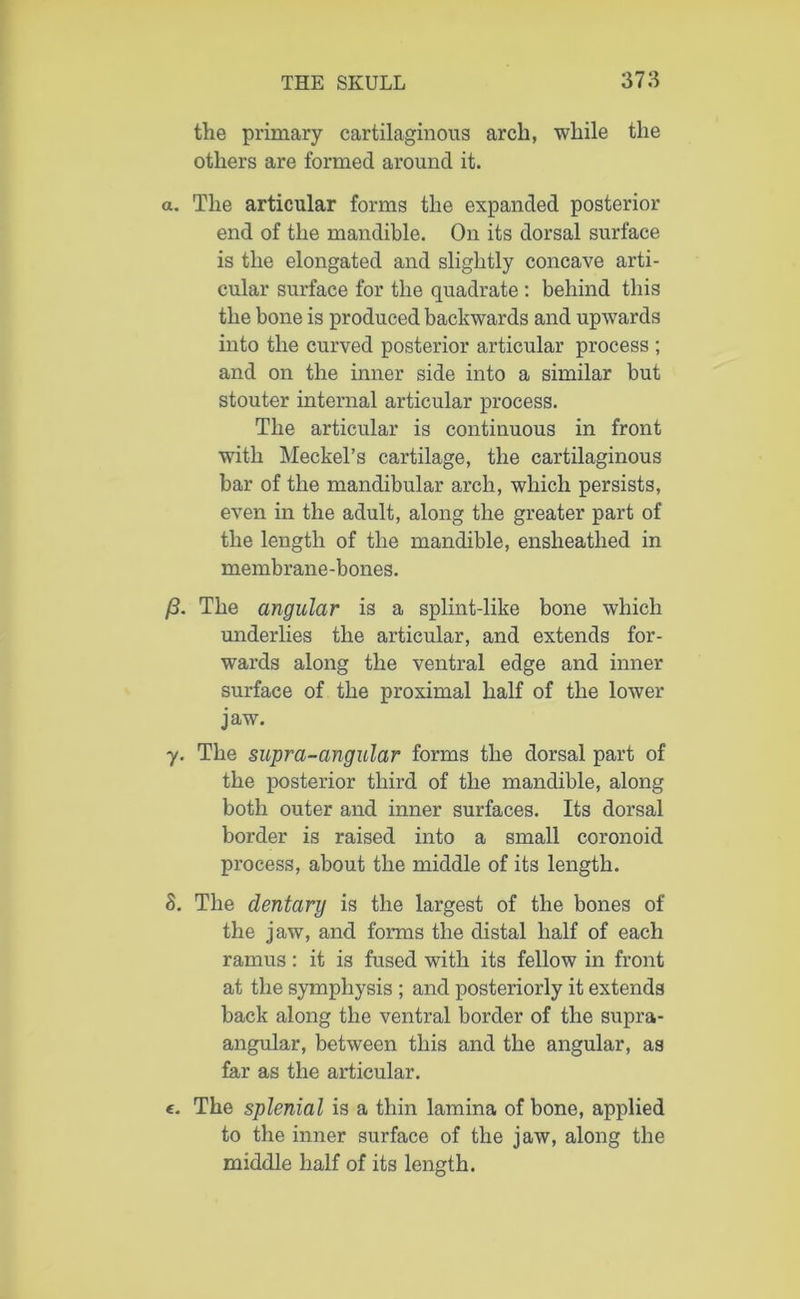 the primary cartilaginous arch, while the others are formed around it. a. The articular forms the expanded posterior end of the mandible. On its dorsal surface is the elongated and slightly concave arti- cular surface for the quadrate : behind this the bone is produced backwards and upwards into the curved posterior articular process ; and on the inner side into a similar but stouter internal articular process. The articular is continuous in front with Meckel’s cartilage, the cartilaginous bar of the mandibular arch, which persists, even in the adult, along the greater part of the length of the mandible, ensheathed in membrane-bones. /3. The angular is a splint-like bone which underlies the articular, and extends for- wards along the ventral edge and inner surface of the proximal half of the lower jaw. y. The supra-angular forms the dorsal part of the posterior third of the mandible, along both outer and inner surfaces. Its dorsal border is raised into a small coronoid process, about the middle of its length. 8. The dentary is the largest of the bones of the jaw, and forms the distal half of each ramus: it is fused with its fellow in front at the symphysis ; and posteriorly it extends back along the ventral border of the supra- angular, between this and the angular, as far as the articular. e. The splenial is a thin lamina of bone, applied to the inner surface of the jaw, along the middle half of its length.
