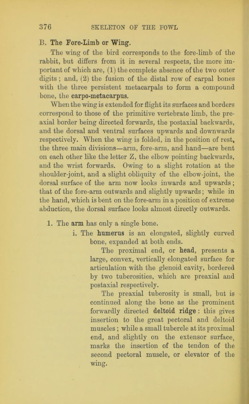 B. The Fore-Limb or Wing. The wing of the bird corresponds to the fore-limb of the rabbit, but ditfers from it in several respects, the more im- portant of which are, (1) the complete absence of the two outer digits ; and, (2) the fusion of the distal row of carpal bones with the three persistent metacarpals to form a compound bone, the carpo-metacarpus. When the wing is extended for flight its surfaces and borders correspond to those of the primitive vertebrate limb, the pre- axial border being directed forwards, the postaxial backwards, and the dorsal and ventral surfaces upwards and downwards respectively. When the wing is folded, in the position of rest, the three main divisions—arm, fore-arm, and hand—are bent on each other like the letter Z, the elbow pointing backwards, and the wrist forwards. Owing to a slight rotation at the shoulder-joint, and a slight obliquity of the elbow-joint, the dorsal surface of the arm now looks inwards and upwards; that of the fore-arm outwards and slightly upwards; while in the hand, -which is bent on the fore-arm in a position of extreme abduction, the dorsal surface looks almost directly outwards. 1. The arm has only a single bone. i. The humerus is an elongated, slightly curved bone, expanded at both ends. The proximal end, or head, presents a large, convex, vertically elongated surface for articulation with the glenoid cavity, bordered by two tuberosities, which are preaxial and postaxial respectively. The preaxial tuberosity is small, but is continued along the bone as the prominent forwardly directed deltoid ridge : this gives insertion to the great pectoral and deltoid muscles ; while a small tubercle at its proximal end, and slightly on the extensor surface, marks the insertion of the tendon of the second pectoral muscle, or elevator of the wing.
