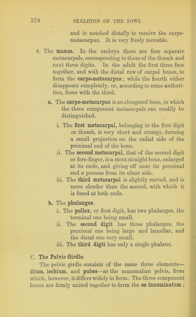 and is notched distally to receive the carpo- metacarpus. It is very freely movable. 4. The manns. In the embryo there are four separate metacarpals, corresponding to those of the thumb and next three digits. In the adult the first three fuse together, and with the distal row of carpal bones, to form the carpo-metacarpus; while the fourth either disappears completely, or, according to some authori- ties, fuses with the third. a. The carpo-metacarpus is an elongated bone, in which the three component metacarpals can readily be distinguished. i. The first metacarpal, belonging to the first digit or thumb, is very short and stumpy, forming a small projection on the radial side of the proximal end of the bone. ii. The second metacarpal, that of the second digit or fore-finger, is a stout straight bone, enlarged at its ends, and giving off near its proximal end a process from its ulnar side. iii. The third metacarpal is slightly curved, and is more slender than the second, with which it is fused at both ends. b. The phalanges. i. The pollex, or first digit, has two phalanges, the terminal one being small. ii. The second digit has three phalanges, the proximal one being large and lamellar, and the distal one very small. iii. The third digit has only a single phalanx. C. The Pelvic Girdle. The pelvic girdle consists of the same three elements— ilium, ischium, and pubes—as the mammalian pelvis, from which, however, it differs widely in form. The three component bones are firmly united together to form the os innominatum ;