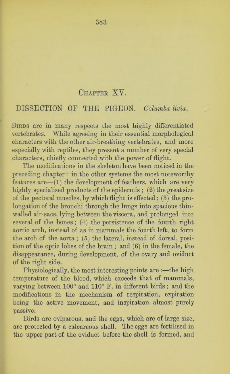 Chapter XV. DISSECTION OF THE PIGEON. Columba livid. Birds are in many respects the most highly differentiated vertebrates. While agreeing in their essential morphological characters with the other air-breathing vertebrates, and more especially with reptiles, they present a number of very special characters, chiefly connected with the power of flight. The modifications in the skeleton have been noticed in the preceding chapter : in the other systems the most noteworthy features are—(1) the development of feathers, which are very highly specialised products of the epidermis ; (2) the great size of the pectoral muscles, by which flight is effected ; (8) the pro- longation of the bronchi through the lungs into spacious thin- walled air-sacs, lying between the viscera, and prolonged into several of the bones; (4) the persistence of the fourth right aortic arch, instead of as in mammals the fourth left, to form the arch of the aorta ; (5) the lateral, instead of dorsal, posi- tion of the optic lobes of the brain ; and (6) in the female, the disappearance, during development, of the ovary and oviduct of the right side. Physiologically, the most interesting points are :—the high temperature of the blood, which exceeds that of mammals, varying between 100° and 110° F. in different birds; and the modifications in the mechanism of respiration, expiration being the active movement, and inspiration almost purely passive. Birds are oviparous, and the eggs, which are of large size, are protected by a calcareous shell. The eggs are fertilised in the upper part of the oviduct before the shell is formed, and