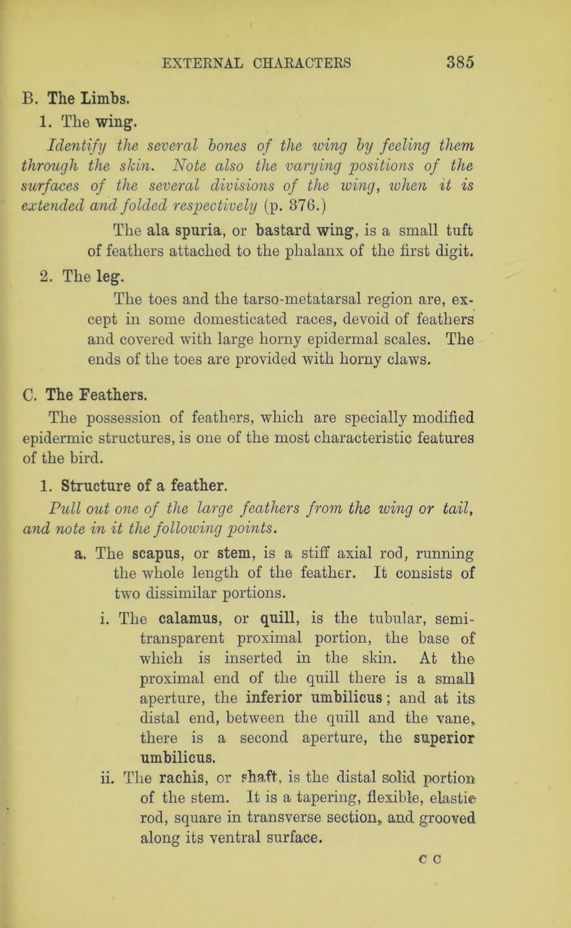 B. The Limbs. 1. The wing. Identify the several bones of the winy by feeling them through the skin. Note also the varying positions of the surfaces of the several divisions of the icing, when it is extended and folded respectively (p. 376.) The ala spuria, or bastard wing, is a small tuft of feathers attached to the phalanx of the first digit. 2. The leg. The toes and the tarso-metatarsal region are, ex- cept in some domesticated races, devoid of feathers and covered with large horny epidermal scales. The ends of the toes are provided with horny claws. C. The Feathers. The possession of feathers, which are specially modified epidermic structures, is one of the most characteristic features of the bird. 1. Structure of a feather. Pull out one of the large feathers from the icing or tail, and note in it the following points. a. The scapus, or stem, is a stiff axial rod, running the whole length of the feather. It consists of two dissimilar portions. i. The calamus, or quill, is the tubular, semi- transparent proximal portion, the base of which is inserted in the skin. At the proximal end of the quill there is a small aperture, the inferior umbilicus; and at its distal end, between the quill and the vane, there is a second aperture, the superior umbilicus. ii. The rachis, or shaft, is the distal solid portion of the stem. It is a tapering, flexible, elastie rod, square in transverse section, and grooved along its ventral surface.