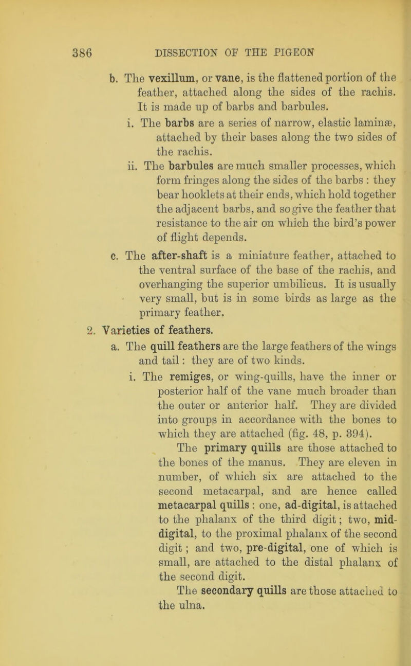 b. The vexillum, or vane, is the flattened portion of the feather, attached along the sides of the rachis. It is made up of barbs and barbules. i. The barbs are a series of narrow, elastic lamina?, attached by their bases along the two sides of the rachis. ii. The barbules are much smaller processes, which form fringes along the sides of the barbs : they bear booklets at their ends, which hold together the adjacent barbs, and so give the feather that resistance to the air on which the bird’s power of flight depends. c. The after-shaft is a miniature feather, attached to the ventral surface of the base of the rachis, and overhanging the superior umbilicus. It is usually very small, but is in some birds as large as the primary feather. 2. Varieties of feathers. a. The quill feathers are the large feathers of the wings and tail: they are of two kinds. i. The remiges, or wing-quills, have the inner or posterior half of the vane much broader than the outer or anterior half. They are divided into groups in accordance with the bones to which they are attached (fig. 48, p. 394). The primary quills are those attached to the bones of the manus. They are eleven in number, of which six are attached to the second metacarpal, and are hence called metacarpal quills: one, ad-digital, is attached to the phalanx of the third digit; two, mid- digital, to the proximal phalanx of the second digit; and two, pre-digital, one of which is small, are attached to the distal phalanx of the second digit. The secondary quills are those attached to the ulna.