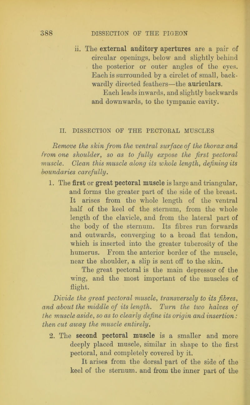 ii. The external auditory apertures are a pair of circular openings, below and slightly behind the posterior or outer angles of the eyes. Each is surrounded by a circlet of small, back- wardly directed feathers—the auriculars. Each leads inwards, and slightly backwards and downwards, to the tympanic cavity. II. DISSECTION OF THE PECTORAL MUSCLES Remove the skin from the ventral surface of the thorax and from one shoulder, so as to fully expose the first pectoral muscle. Glean this muscle along its whole length, defining its boundaries carefully. 1. The first or great pectoral muscle is large and triangular, and forms the greater part of the side of the breast. It arises from the whole length of the ventral half of the keel of the sternum, from the whole length of the clavicle, and from the lateral part of the body of the sternum. Its fibres run forwards and outwards, converging to a broad flat tendon, which is inserted into the greater tuberosity of the humerus. From the anterior border of the muscle, near the shoulder, a slip is sent off to the skin. The great pectoral is the main depressor of the wing, and the most important of the muscles of flight. Divide the great pectoral muscle, transversely to its fibres, and about the middle of its length. Turn the two halves of the muscle aside, so as to clearly define its origin and insertion: then cut away the muscle entirely. 2. The second pectoral muscle is a smaller and more deeply placed muscle, similar in shape to the first pectoral, and completely covered by it. It arises from the dorsal part of the side of the keel of the sternum, and from the inner part of the