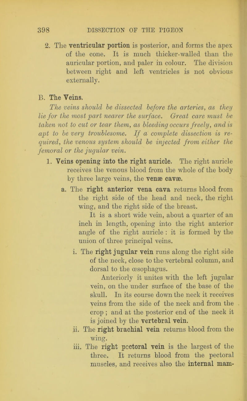 2. The ventricular portion is posterior, and forms the apex of the cone. It is much thicker-walled than the auricular portion, and paler in colour. The division between right and left ventricles is not obvious externally. B. The Veins. The veins should he dissected before the arteries, as they lie for the most part nearer the surface. Great care must he taken not to cut or tear them, as bleeding occurs freely, and is apt to he very troublesome. If a complete dissection is re- quired, the venous system should he injected from either the femoral or the jugular vein. 1. Veins opening into the right auricle. The right auricle receives the venous blood from the whole of the body by three large veins, the venae cavae. a. The right anterior vena cava returns blood from the right side of the head and neck, the right wing, and the right side of the breast. It is a short wide vein, about a quarter of an inch in length, opening into the right anterior angle of the right auricle : it is formed by the union of three principal veins. i. The right jugular vein runs along the right side of the neck, close to the vertebral column, and dorsal to the oesophagus. Anteriorly it unites with the left jugular vein, on the under surface of the base of the skull. In its course down the neck it receives veins from the side of the neck and from the crop ; and at the posterior end of the neck it is joined by the vertebral vein. ii. The right brachial vein returns blood from the wing. iii. The right pectoral vein is the largest of the three. It returns blood from the pectoral muscles, and receives also the internal mam-