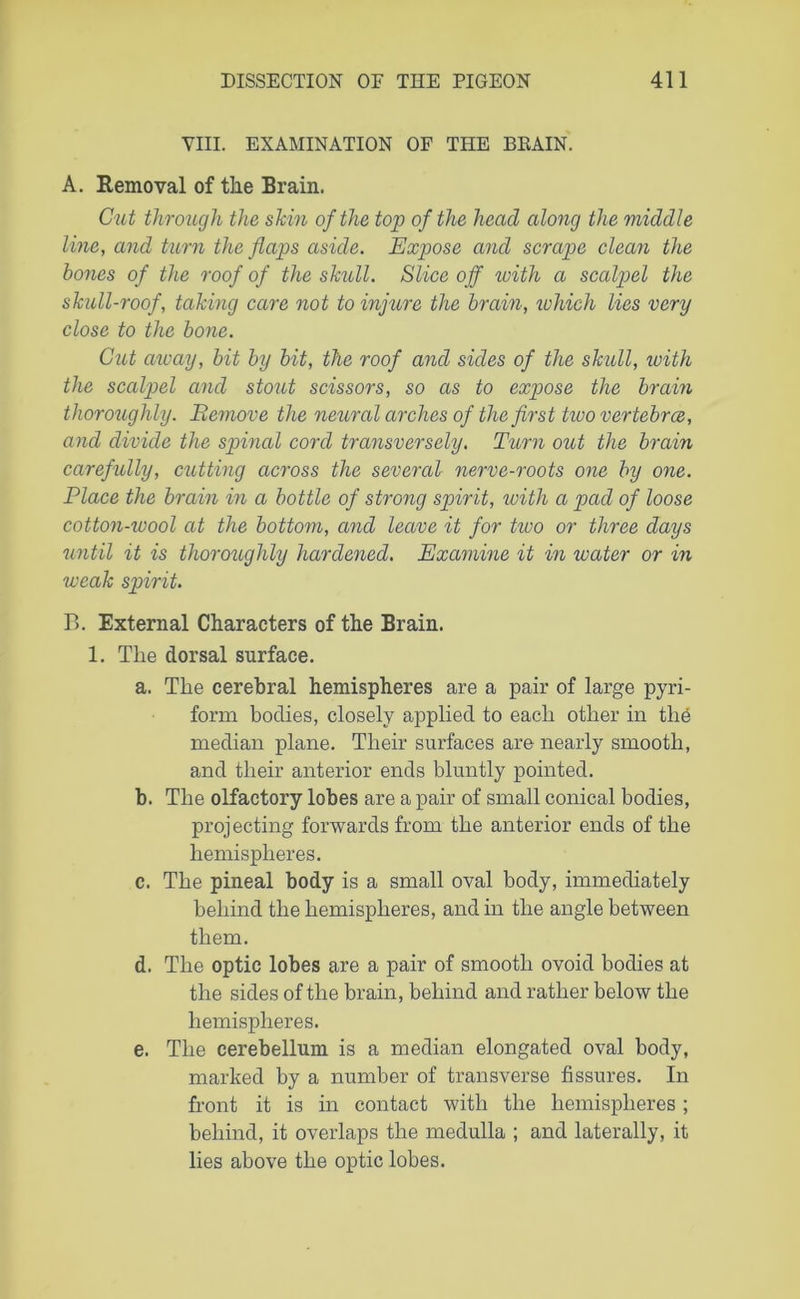 VIII. EXAMINATION OF THE BE AIN. A. Removal of the Brain. Cut through the skin of the top of the head along the middle line, and turn the flaps aside. Expose and scrape clean the hones of the roof of the skull. Slice off with a scalpel the skull-roof, taking care not to injure the brain, which lies very close to the bone. Cut away, bit by bit, the roof and sides of the skull, with the scalpel and stout scissors, so as to expose the brain thoroughly. Eemove the neural arches of the first two vertebrce, and divide the spinal cord transversely. Turn out the brain careffdly, cutting across the several nerve-roots one by one. Place the brain in a bottle of strong spirit, with a pad of loose cotton-iuool at the bottom, and leave it for two or three days until it is thoroughly hardened. Examine it in water or in weak spirit. B. External Characters of the Brain. 1. The dorsal surface. a. The cerebral hemispheres are a pair of large pyri- form bodies, closely applied to each other in the median plane. Their surfaces are nearly smooth, and their anterior ends bluntly pointed. b. The olfactory lobes are a pair of small conical bodies, projecting forwards from the anterior ends of the hemispheres. c. The pineal body is a small oval body, immediately behind the hemispheres, and in the angle between them. d. The optic lobes are a pair of smooth ovoid bodies at the sides of the brain, behind and rather below the hemispheres. e. The cerebellum is a median elongated oval body, marked by a number of transverse fissures. In front it is in contact with the hemispheres; behind, it overlaps the medulla ; and laterally, it lies above the optic lobes.