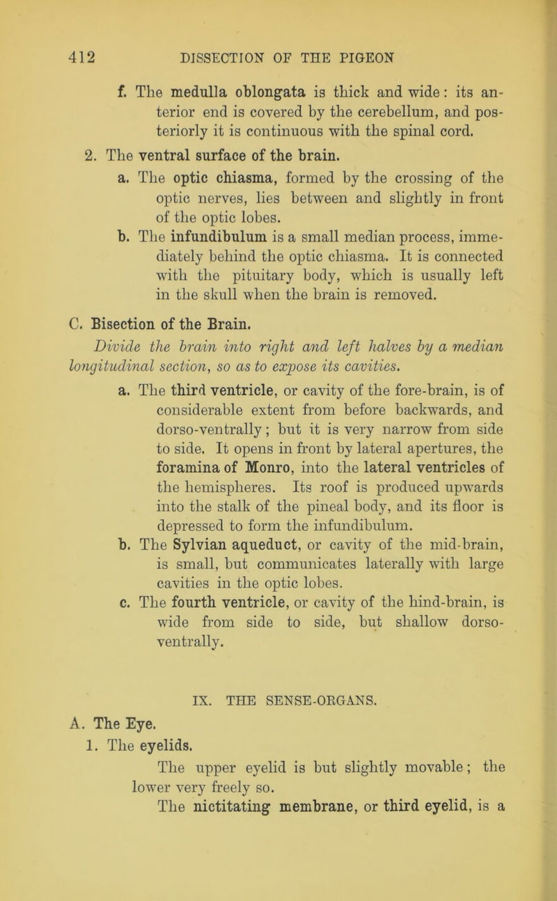 f. The medulla oblongata is thick and wide: its an- terior end is covered by the cerebellum, and pos- teriorly it is continuous with the spinal cord. 2. The ventral surface of the brain. a. The optic chiasma, formed by the crossing of the optic nerves, lies between and slightly in front of the optic lobes. b. The infundibulum is a small median process, imme- diately behind the optic chiasma. It is connected with the pituitary body, which is usually left in the skull when the brain is removed. C. Bisection of the Brain. Divide the brain into right and left halves by a median longitudinal section, so as to exgjose its cavities. a. The third ventricle, or cavity of the fore-brain, is of considerable extent from before backwards, and dorso-ventrally; but it is very narrow from side to side. It opens in front by lateral apertures, the foramina of Monro, into the lateral ventricles of the hemispheres. Its roof is produced upwards into the stalk of the pineal body, and its floor is depressed to form the infundibulum. b. The Sylvian aqueduct, or cavity of the mid-brain, is small, but communicates laterally with large cavities in the optic lobes. c. The fourth ventricle, or cavity of the hind-brain, is wide from side to side, but shallow dorso- ventrally. IX. THE SENSE-ORGANS. A. The Eye. 1. The eyelids. The upper eyelid is hut slightly movable; the lower very freely so. The nictitating membrane, or third eyelid, is a