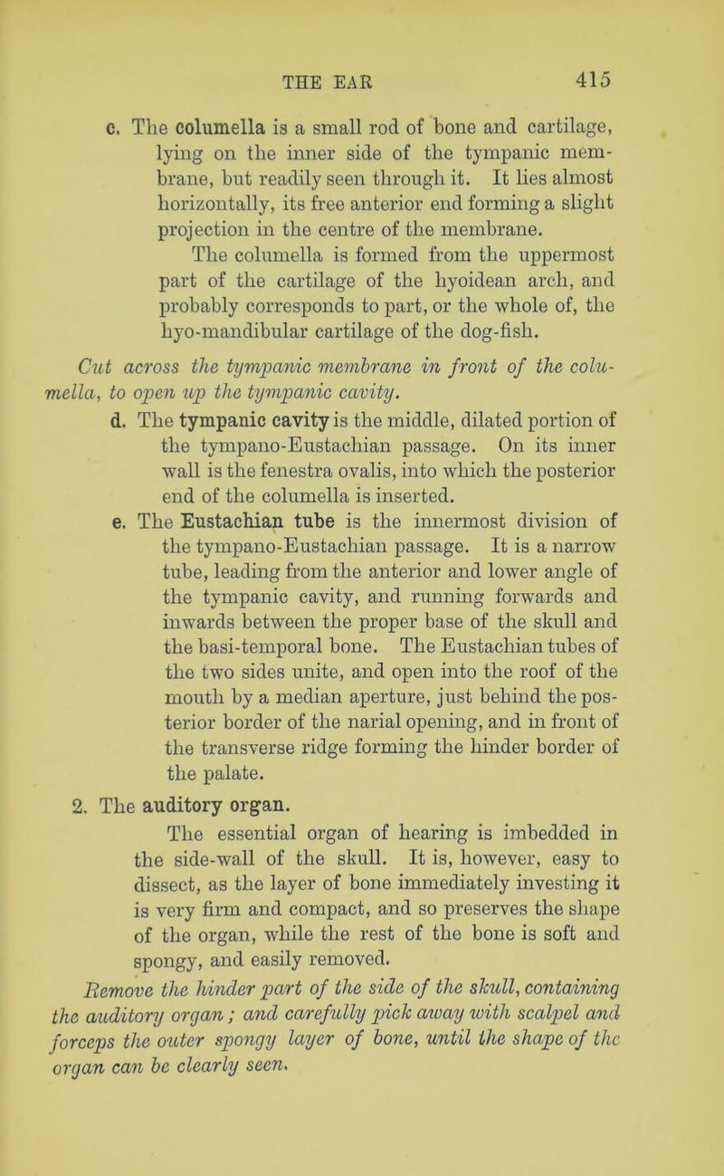 c. The columella is a small rod of bone and cartilage, lying on the inner side of the tympanic mem- brane, but readily seen through it. It lies almost horizontally, its free anterior end forming a slight projection in the centre of the membrane. The columella is formed from the uppermost part of the cartilage of the liyoidean arch, and probably corresponds to part, or the whole of, the hyo-mandibular cartilage of the dog-fish. Cut across the tympanic membrane in front of the colu- mella, to open icp the tympanic cavity. d. The tympanic cavity is the middle, dilated portion of the tympano-Eustachian passage. On its inner wall is the fenestra ovalis, into which the posterior end of the columella is inserted. e. The Eustachian tube is the innermost division of the tympano-Eustachian passage. It is a narrow tube, leading from the anterior and lower angle of the tympanic cavity, and running forwards and inwards between the proper base of the skull and the basi-temporal bone. The Eustachian tubes of the two sides unite, and open into the roof of the mouth by a median aperture, just behind the pos- terior border of the narial opening, and in front of the transverse ridge forming the hinder border of the palate. 2. The auditory organ. The essential organ of hearing is imbedded in the side-wall of the skull. It is, however, easy to dissect, as the layer of bone immediately investing it is very firm and compact, and so preserves the shape of the organ, while the rest of the bone is soft and spongy, and easily removed. Remove the hinder part of the side of the skull, containing the auditory organ; and carefully pick away with scalpel and forceps the outer spongy layer of bone, until the shape of the organ can be clearly seen.