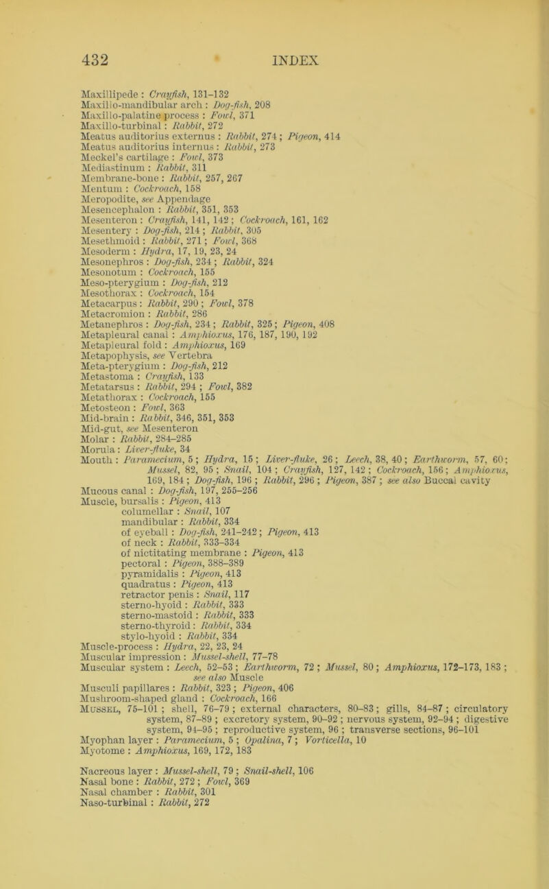 Maxillipede: Crayfish, 131-132 Maxillo-mandibular arch : Dog-fish, 208 Maxillo-palatine process : Fowl, 371 Haxillo-turbinal: Rabbit, 272 Meatus auditorius extern us : Rabbit, 274; Pigeon, 414 Meatus auditorius interims : Rabbit, 273 Meckel’s cartilage : Fowl, 373 Mediastinum : Rabbit, 311 Membrane-bone : Rabbit, 257, 267 Mentum : Cockroach, 158 Meropodite, see Appendage Mesencephalon : Rabbit, 351, 353 Mesenteron : Crayfish, 141, 142; Cockroach, 161, 162 Mesentery : Dog-fish, 214 ; Rubbit, 305 Mesethmoid : Rabbit, 271; Fowl, 368 Mesoderm : Hydra, 17,19, 23, 24 Mesonephros : Dog-fish, 234 ; Rabbit, 324 Mesonotum : Cockroach, 155 Meso-pterygium : Dog-fish, 212 Mesothorax : Cockroach, 154 Metacarpus: Rabbit, 290 ; Fowl, 378 Metaeromion : Rabbit, 286 Metanepliros : Dog-fish, 234 ; Rabbit, 325; Pigeon, 408 Metapleural canal : Amphioxus, 176, 187, 190, 192 Metapleural fold : Amphioxus, 169 Metapophysis, see Vertebra Meta-pterygium : Dog-fish, 212 Metastoma : Crayfish, 133 Metatarsus : Rabbit, 294 ; Fowl, 382 Metathorax : Cockroach, 155 Metosteon: Fowl, 363 Mid-brain : Ra bbit, 346, 351, 353 Mid-gut, see Mesenteron Molar : Rabbit, 284-285 Morula: Liver-fluke, 34 Mouth: Paramecium, 5; Hydra, 15; Liver-fluke, 26; Leech, ZB, 40; Earthworm, 57, 60; Mussel, 82, 95; Snail, 104; Crayfish, 127, 142; Cockroach, 156; Amphioxus, 169, 184 ; Dog-fish, 196 ; Rubbit, 296 ; Pigeon, 387 ; see also Buccal cavity Mucous canal : Dog-fish, 197, 255-256 Muscle, bursalis : Pigeon, 413 columellar : Snail, 107 mandibular: Rabbit, 334 of eyeball : Dog-fish, 241-242; Pigeon, 413 of neck : Rabbit, 333-334 of nictitating membrane : Pigeon, 413 pectoral: Pigeon, 388-389 pyramidalis : Pigeon, 413 quadratus: Pigeon, 413 retractor penis : Snail, 117 sterno-hyoid : Rabbit, 333 sterno-mastoid : Rabbit, 333 sterno-thyroid: Rabbit, 334 stylo-hyoid : Rabbit, 334 Muscle-process : Hydra, 22, 23, 24 Muscular impression : Mussel-shell, 77-78 Muscular system : Leech, 52-53 ; Earthworm, 72 ; Mussel, 80; Amphioxus, 172-173, 183 ; see also Muscle Musculi papillares : Rabbit, 323 ; Pigeon, 406 Mushroom-shaped gland : Cockroach, 166 Mussel, 75-101; shell, 76-79 ; external characters, 80-83; gills, 84-87 ; circulatory system, 87-89 ; excretory system, 90-92 ; nervous system, 92-94 ; digestive system, 94-95 ; reproductive system, 96 ; transverse sections, 96-101 Myophan layer : Paramecium, 5 ; Opalina, 7 ; Vorticella, 10 Myotome : Amphioxus, 169, 172,183 Nacreous layer : Mussel-shell, 79 ; Snail-shell, 106 Nasal bone : Rabbit, 272 ; Fowl, 369 Nasal chamber : Rabbit, 301 Naso-turbinal : Rabbit, 272