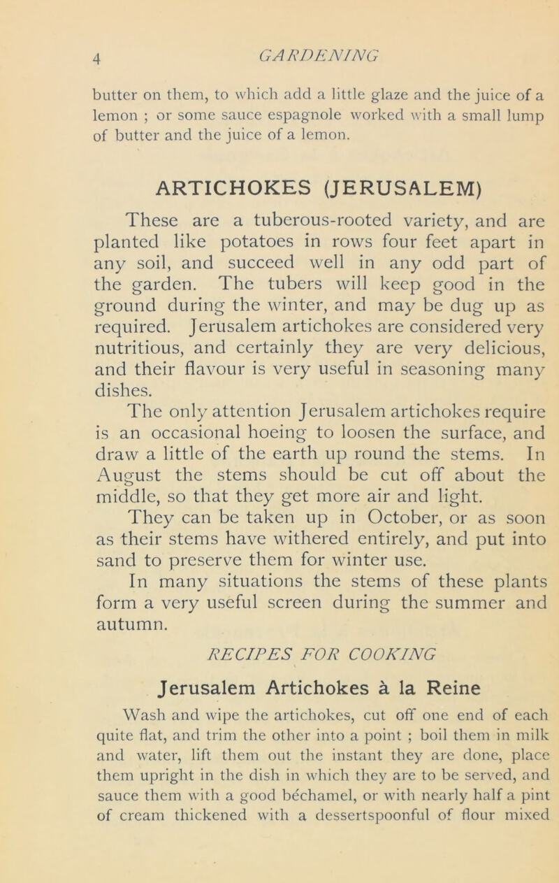 butter on them, to which add a little glaze and the juice of a lemon ; or some sauce espagnole worked with a small lump of butter and the juice of a lemon. ARTICHOKES (JERUSALEM) These are a tuberous-rooted variety, and are planted like potatoes in rows four feet apart in any soil, and succeed well in any odd part of the garden. The tubers will keep good in the ground during the winter, and may be dug up as required. Jerusalem artichokes are considered very nutritious, and certainly they are very delicious, and their flavour is very useful in seasoning many dishes. The only attention Jerusalem artichokes require is an occasional hoeing to loosen the surface, and draw a little of the earth up round the stems. In August the stems should be cut off about the middle, so that they get more air and light. They can be taken up in October, or as soon as their stems have withered entirely, and put into sand to preserve them for winter use. In many situations the stems of these plants form a very useful screen during the summer and autumn. RECIPES FOR COOKING Jerusalem Artichokes a la Reine Wash and wipe the artichokes, cut off one end of each quite flat, and trim the other into a point ; boil them in milk and water, lift them out the instant they are done, place them upright in the dish in which they are to be served, and sauce them with a good bechamel, or with nearly half a pint of cream thickened with a dessertspoonful of flour mixed