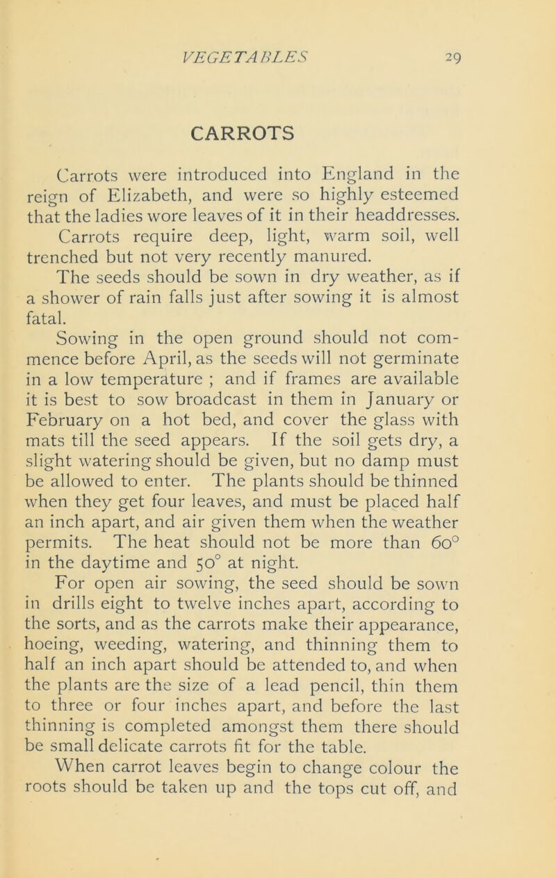 CARROTS Carrots were introduced into England in the reign of Elizabeth, and were so highly esteemed that the ladies wore leaves of it in their headdresses. Carrots require deep, light, warm soil, well trenched but not very recently manured. The seeds should be sown in dry weather, as if a shower of rain falls just after sowing it is almost fatal. Sowing in the open ground should not com- mence before April, as the seeds will not germinate in a low temperature ; and if frames are available it is best to sow broadcast in them in January or February on a hot bed, and cover the glass with mats till the seed appears. If the soil gets dry, a slight watering should be given, but no damp must be allowed to enter. The plants should be thinned when they get four leaves, and must be placed half an inch apart, and air given them when the weather permits. The heat should not be more than 6o° in the daytime and 50° at night. For open air sowing, the seed should be sown in drills eight to twelve inches apart, according to the sorts, and as the carrots make their appearance, hoeing, weeding, watering, and thinning them to half an inch apart should be attended to, and when the plants are the size of a lead pencil, thin them to three or four inches apart, and before the last thinning is completed amongst them there should be small delicate carrots fit for the table. When carrot leaves begin to change colour the roots should be taken up and the tops cut off, and