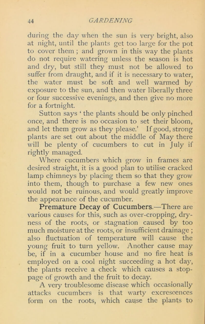 during the day when the sun is very bright, also at night, until the plants get too large for the pot to cover them ; and grown in this way the plants do not require watering unless the season is hot and dry, but still they must not be allowed to suffer from draught, and if it is necessary to water, the water must be soft and well warmed by exposure to the sun, and then water liberally three or four successive evenings, and then give no more for a fortnight. Sutton says ‘ the plants should be only pinched once, and there is no occasion to set their bloom, and let them grow as they please.’ If good, strong plants are set out about the middle of May there will be plenty of cucumbers to cut in July if rightly managed. Where cucumbers which grow in frames are <_> desired straight, it is a good plan to utilise cracked lamp chimneys by placing them so that they grow into them, though to purchase a few new ones would not be ruinous, and would greatly improve the appearance of the cucumber. Premature Decay of Cucumbers.—There are various causes for this, such as over-cropping, dry- ness of the roots, or stagnation caused by too much moisture at the roots, or insufficient drainage ; also fluctuation of temperature will cause the young fruit to turn yellow. Another cause may be, if in a cucumber house and no fire heat is employed on a cool night succeeding a hot day, the plants receive a check which causes a stop- page of growth and the fruit to decay. A very troublesome disease which occasionally attacks cucumbers is that warty excrescences form on the roots, which cause the plants to