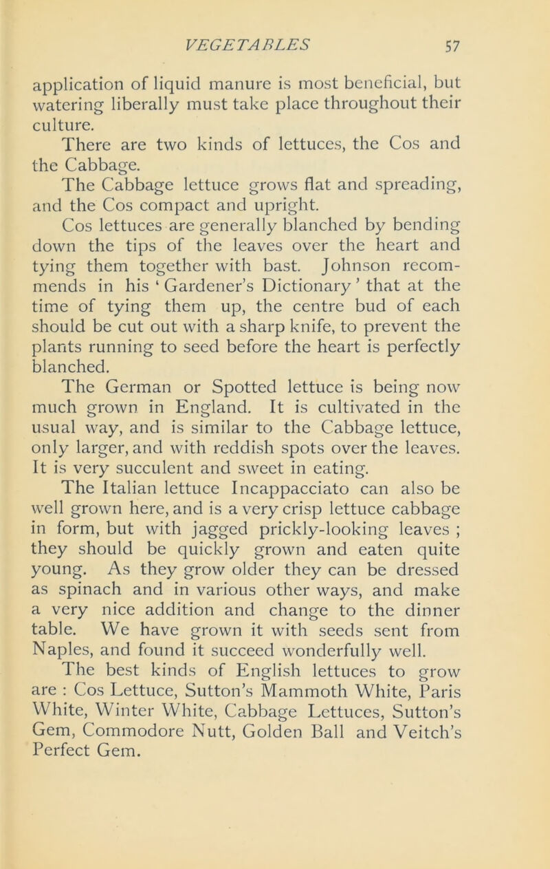 application of liquid manure is most beneficial, but watering liberally must take place throughout their culture. There are two kinds of lettuces, the Cos and the Cabbage. The Cabbage lettuce grows flat and spreading, and the Cos compact and upright. Cos lettuces are generally blanched by bending down the tips of the leaves over the heart and tying them together with bast. Johnson recom- mends in his 4 Gardener’s Dictionary ’ that at the time of tying them up, the centre bud of each should be cut out with a sharp knife, to prevent the plants running to seed before the heart is perfectly blanched. The German or Spotted lettuce is being now much grown in England. It is cultivated in the usual way, and is similar to the Cabbage lettuce, only larger, and with reddish spots over the leaves. It is very succulent and sweet in eating. The Italian lettuce Incappacciato can also be well grown here, and is a very crisp lettuce cabbage in form, but with jagged prickly-looking leaves ; they should be quickly grown and eaten quite young. As they grow older they can be dressed as spinach and in various other ways, and make a very nice addition and change to the dinner table. We have grown it with seeds sent from Naples, and found it succeed wonderfully well. The best kinds of English lettuces to grow are : Cos Lettuce, Sutton’s Mammoth White, Paris White, Winter White, Cabbage Lettuces, Sutton’s Gem, Commodore Nutt, Golden Ball and Veitch’s Perfect Gem.