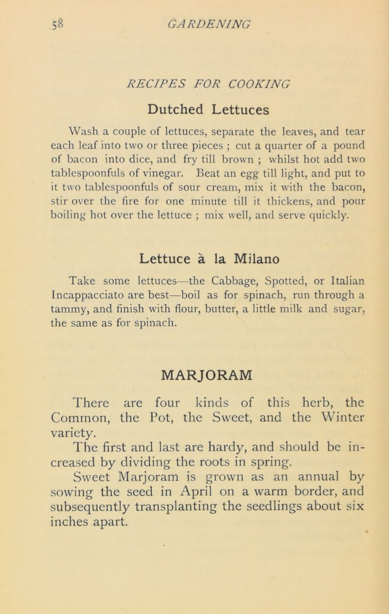 RECIPES FOR COOKING Dutched Lettuces Wash a couple of lettuces, separate the leaves, and tear each leaf into two or three pieces ; cut a quarter of a pound of bacon into dice, and fry till brown ; whilst hot add two tablespoonfuls of vinegar. Beat an egg till light, and put to it two tablespoonfuls of sour cream, mix it with the bacon, stir over the fire for one minute till it thickens, and pour boiling hot over the lettuce ; mix well, and serve quickly. Lettuce a la Milano Take some lettuces—the Cabbage, Spotted, or Italian Incappacciato are best—boil as for spinach, run through a tammy, and finish with flour, butter, a little milk and sugar, the same as for spinach. MARJORAM There are four kinds of this herb, the Common, the Pot, the Sweet, and the Winter variety. The first and last are hardy, and should be in- creased by dividing the roots in spring. Sweet Marjoram is grown as an annual by sowing the seed in April on a warm border, and subsequently transplanting the seedlings about six inches apart.