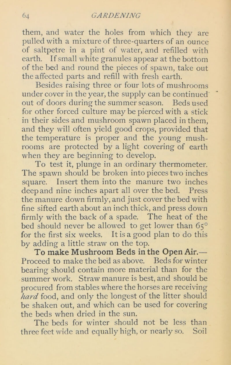 them, and water the holes from which they are pulled with a mixture of three-quarters of an ounce of saltpetre in a pint of water, and refilled with earth. If small white granules appear at the bottom of the bed and round the pieces of spawn, take out the affected parts and refill with fresh earth. Besides raising three or four lots of mushrooms under cover in the year, the supply can be continued out of doors during the summer season. Beds used for other forced culture may be pierced with a stick in their sides and mushroom spawn placed in them, and they will often yield good crops, provided that the temperature is proper and the young mush- rooms are protected by a light covering of earth when they are beginning to develop. To test it, plunge in an ordinary thermometer. The spawn should be broken into pieces two inches square. Insert them into the manure two inches deep and nine inches apart all over the bed. Press the manure down firmly, and just cover the bed with fine sifted earth about an inch thick, and press down firmly with the back of a spade. The heat of the bed should never be allowed to get lower than 65° for the first six weeks. It is a good plan to do this by adding a little straw on the top. To make Mushroom Beds in the Open Air.— Proceed to make the bed as above. Beds for winter bearing should contain more material than for the summer work. Straw manure is best, and should be procured from stables where the horses are receiving hard food, and only the longest of the litter should be shaken out, and which can be used for covering the beds when dried in the sun. The beds for winter should not be less than three feet wide and equally high, or nearly so. Soil