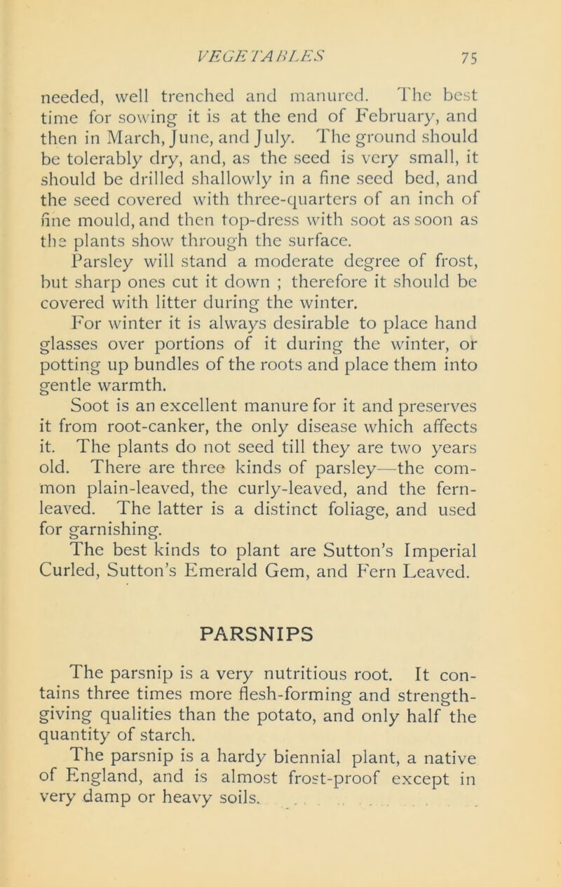 needed, well trenched and manured. The best time for sowing it is at the end of February, and then in March, June, and July. The ground should be tolerably dry, and, as the seed is very small, it should be drilled shallowly in a fine seed bed, and the seed covered with three-quarters of an inch of fine mould, and then top-dress with soot as soon as the plants show through the surface. Parsley will stand a moderate degree of frost, but sharp ones cut it down ; therefore it should be covered with litter during the winter. For winter it is always desirable to place hand glasses over portions of it during the winter, or potting up bundles of the roots and place them into gentle warmth. Soot is an excellent manure for it and preserves it from root-canker, the only disease which affects it. The plants do not seed till they are two years old. There are three kinds of parsley—the com- mon plain-leaved, the curly-leaved, and the fern- leaved. The latter is a distinct foliage, and used for garnishing. The best kinds to plant are Sutton’s Imperial Curled, Sutton’s Emerald Gem, and Fern Leaved. PARSNIPS The parsnip is a very nutritious root. It con- tains three times more flesh-forming and strength- giving qualities than the potato, and only half the quantity of starch. The parsnip is a hardy biennial plant, a native of England, and is almost frost-proof except in very damp or heavy soils.