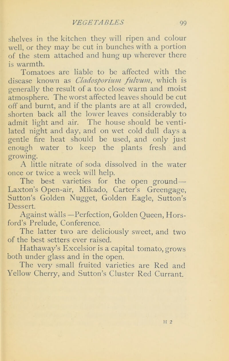 shelves in the kitchen they will ripen and colour well, or they may be cut in bunches with a portion of the stem attached and hung up wherever there is warmth. Tomatoes arc liable to be affected with the disease known as Cladosporium fulvum, which is generally the result of a too close warm and moist atmosphere. The worst affected leaves should be cut off and burnt, and if the plants are at all crowded, shorten back all the lower leaves considerably to admit light and air. The house should be venti- lated night and day, and on wet cold dull days a gentle fire heat should be used, and only just enough water to keep the plants fresh and growing. A little nitrate of soda dissolved in the water once or twice a week will help. The best varieties for the open ground — Laxton’s Open-air, Mikado, Carter’s Greengage, Sutton’s Golden Nugget, Golden Eagle, Sutton’s Dessert. Against walls—Perfection, Golden Queen, Hors- ford’s Prelude, Conference. The latter two are deliciously sweet, and two of the best setters ever raised. Hathaway’s Excelsior is a capital tomato, grows both under glass and in the open. The very small fruited varieties are Red and Yellow Cherry, and Sutton’s Cluster Red Currant. II 2