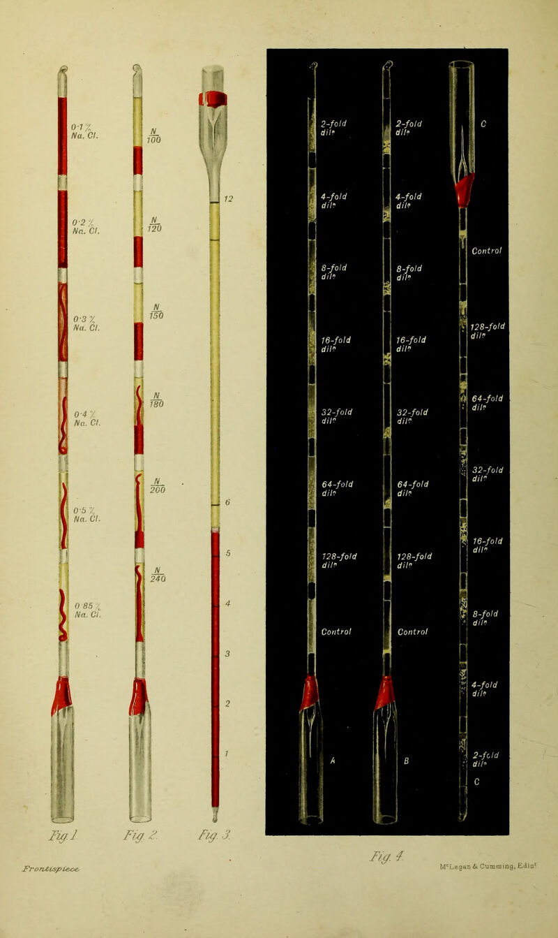 07% Na. Cl. 0-2% Na. Cl. 03 X Na. Cl. 0-4-7. Na. Cl. 10-5 % 1 Na. Cl. I I I 0 85 7 Na. Cl. i 11 ■ Fig.l Frontispiece, Pi I |1 I J I I y jl 180 I! JL li200 I N 240 i j a s&r f.'j 64-fold •: dih °'d 2-fold dih , 4-fold ; dih 8-fold dih 128-fold dih Control ! j Control 1 :';1 128-fold I dih f! 64-fold :! dih j 32-fold dih ^ 8-fold I* 4-fold dih j 2-fold .'J dih McLagan U. Cumming, Ed la*.