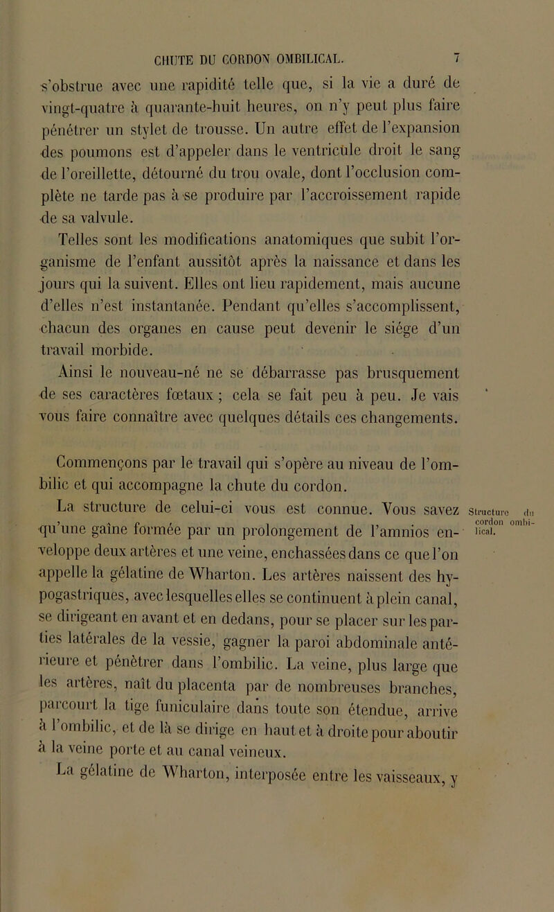 CHUTE DU GQRDON OMBILICAL. T ■s’obstrue avec une rapidité telle que, si la vie a duré de vingt-quatre à quarante-huit heures, on n’y peut plus faire pénétrer un stylet de trousse. Un autre effet de l’expansion des poumons est d’appeler dans le ventricule droit le sang de l’oreillette, détourné du trou ovale, dont l’occlusion com- plète ne tarde pas à se produire par l’accroissement rapide de sa valvule. Telles sont les modifications anatomiques que subit l’or- ganisme de l’enfant aussitôt après la naissance et dans les jours qui la suivent . Elles ont lieu rapidement, mais aucune d’elles n’est instantanée. Pendant qu’elles s’accomplissent, chacun des organes en cause peut devenir le siège d’un travail morbide. Ainsi le nouveau-né ne se débarrasse pas brusquement de ses caractères fœtaux; cela se fait peu à peu. Je vais vous faire connaître avec quelques détails ces changements. Commençons par le travail qui s’opère au niveau de l’om- bilic et qui accompagne la chute du cordon. La structure de celui-ci vous est connue. Vous savez structure du qu une game formée par un prolongement de l ammos en- ifcai. veloppe deux artères et une veine, enchâssées dans ce que l’on appelle la gélatine de Wharton. Les artères naissent des hy- pogastriques, avec lesquelles elles se continuent à plein canal, se dirigeant en avant et en dedans, pour se placer sur les par- ties latérales de la vessie, gagner la paroi abdominale anté- îieuie et pénétrer dans 1 ombilic. La veine, plus large que les ai tèies, naît du placenta par de nombreuses branches, parcourt la tige funiculaire dans toute son étendue, arrive a l’ombilic, et de là se dirige en haut et à droite pour aboutir à la veine porte et au canal veineux. La gélatine de Wharton, interposée entre les vaisseaux, y