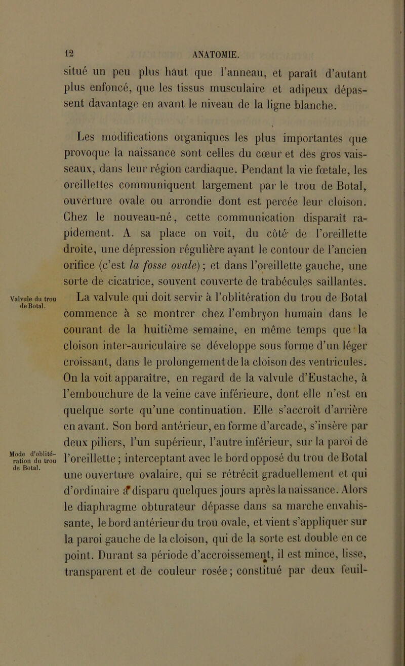 Valvule du trou deBotal. Mode d’oblité- ration du trou de Botal. situé un peu plus haut que l’anneau, et paraît d’autant plus enfoncé, que les tissus musculaire et adipeux dépas- sent davantage en avant le niveau de la ligne blanche. i Les modifications organiques les plus importantes que provoque la naissance sont celles du cœur et des gros vais- seaux, dans leur région cardiaque. Pendant la vie fœtale, les oreillettes communiquent largement par le trou de Botal, ouverture ovale ou arrondie dont est percée leur cloison. Chez le nouveau-né, cette communication disparaît ra- pidement. A sa place on voit, du côté- de l’oreillette droite, une dépression régulière ayant le contour de l’ancien orifice (c’est la fosse ovale) ; et dans l’oreillette gauche, une sorte de cicatrice, souvent couverte de trabécules saillantes. La valvule qui doit servir à l’oblitération du trou de Botal commence à se montrer chez l’embryon humain dans le courant de la huitième semaine, en même temps que la cloison inter-auriculaire se développe sous forme d’un léger croissant, dans le prolongement de la cloison des ventricules. On la voit apparaître, en regard de la valvule d’Eustache, à l’embouchure de la veine cave inférieure, dont elle n’est en quelque sorte qu’une continuation. Elle s’accroît d’arrière en avant. Son bord antérieur, en forme d’arcade, s’insère par deux piliers, l’un supérieur, l’autre inférieur, sur la paroi de l’oreillette ; interceptant avec le bord opposé du trou deBotal uue ouverture ovalaire, qui se rétrécit graduellement et qui d’ordinaire <f disparu quelques jours après la naissance. Alors le diaphragme obturateur dépasse dans sa marche envahis- sante, le bord antérieur du trou ovale, et vient s’appliquer sur la paroi gauche de la cloison, qui de la sorte est double en ce point. Durant sa période d’accroissement, il est mince, lisse, transparent et de couleur rosée ; constitué par deux feuil-