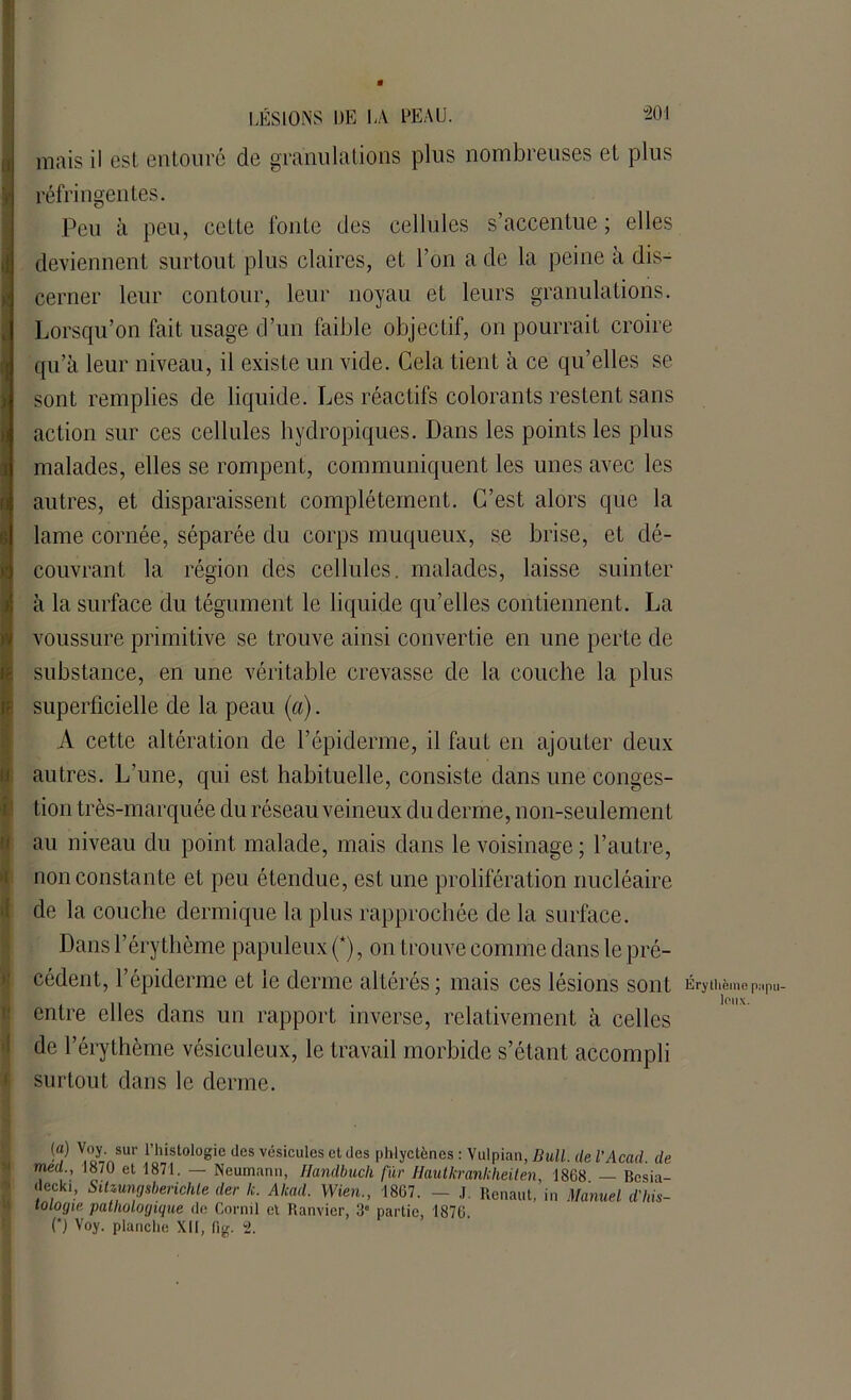 “20! a ■! i u i h ü »! R LÉSIONS IJE LA PEAU, mois il est entouré de granulations plus nombreuses et plus réfringentes. Peu à peu, cette fonte des cellules s’accentue; elles deviennent surtout plus claires, et l’on a de la peine à dis- cerner leur contour, leur noyau et leurs granulations. Lorsqu’on fait usage d’un faible objectif, on pourrait croire qu’à leur niveau, il existe un vide. Cela tient à ce qu’elles se sont remplies de liquide. Les réactifs colorants restent sans action sur ces cellules hydropiques. Dans les points les plus malades, elles se rompent, communiquent les unes avec les autres, et disparaissent complètement. C’est alors que la lame cornée, séparée du corps muqueux, se brise, et dé- couvrant la région des cellules, malades, laisse suinter à la surface du tégument le liquide qu’elles contiennent. La voussure primitive se trouve ainsi convertie en une perte de substance, en une véritable crevasse de la couche la plus superficielle de la peau (a). A cette altération de l’épiderme, il faut en ajouter deux autres. L’une, qui est habituelle, consiste dans une conges- tion très-marquée du réseau veineux du derme, non-seulement au niveau du point malade, mais dans le voisinage ; l’autre, non constante et peu étendue, est une prolifération nucléaire de la couche dermique la plus rapprochée de la surface. Dans l’érythème papuleux (*), on trouve connue dans le pré- cédent, l’épiderme et le derme altérés; mais ces lésions sont Érythème pilpU- entre elles dans un rapport inverse, relativement à celles de l’érythème vésiculeux, le travail morbide s’étant accompli surtout dans le derme. (a) Voy. sur l’histologie des vésicules et des phlyctènes : Vulpian, Bull, de l'Acad. de med , 1870 et 1871. — Neumann, Handbuch fur Uautkranlcheiten, 1868 — Besia- decki, Sitzungsberichle der k. Akacl. Wien., 1867. - J. Renaut, in Manuel d'his- tologie pathologique de Cornil et Ranvier, 3° partie, 1876.