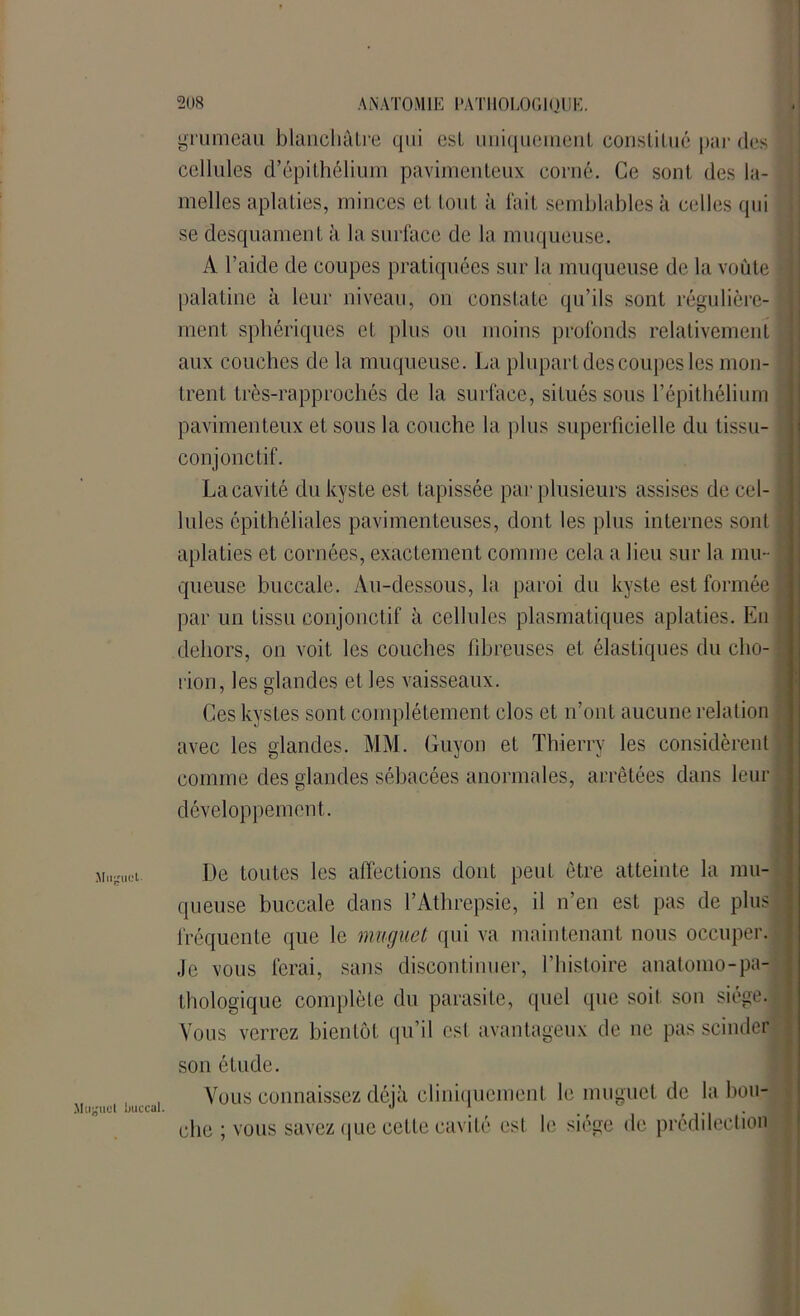 grumeau blanchâtre qui est uniquement constitué par des cellules d’épithélium pavimenteux corné. Ce sont des la- melles aplaties, minces et tout à fait semblables à celles qui se desquament à la surface de la muqueuse. A l’aide de coupes pratiquées sur la muqueuse de la voûte palatine à leur niveau, on constate qu’ils sont régulière- ^ ment sphériques et plus ou moins profonds relativement aux couches de la muqueuse. La plupart des coupes les mon- trent très-rapproehés de la surface, situés sous l’épithélium pavimenteux et sous la couche la plus superficielle du tissu- conjonctif. La cavité du kyste est tapissée par plusieurs assises de cel- lules épithéliales pavimenteuses, dont les plus internes sont aplaties et cornées, exactement connue cela a lieu sur la mu- queuse buccale. Au-dessous, la paroi du kyste est formée I par un tissu conjonctif à cellules plasmatiques aplaties. En dehors, on voit les couches fibreuses et élastiques du cho- à rion, les glandes et les vaisseaux. Ces kystes sont complètement clos et n’ont aucune relation avec les glandes. MM. Guyon et Thierry les considèrent comme des glandes sébacées anormales, arrêtées dans leur développement. Muguet. Muguet buccal. De toutes les affections dont peut être atteinte la mu- queuse buccale dans l’Athrepsie, il n’en est pas de plus fréquente que le muguet qui va maintenant nous occuper. Je vous ferai, sans discontinuer, l’histoire anatomo-pa- thologique complète du parasite, quel que soil son siège. Vous verrez bientôt qu’il csl avantageux de ne pas scinder son étude. Vous connaissez déjà cliniquement le muguet de la bou- che ; vous savez que cette cavité est le siège de prédilection