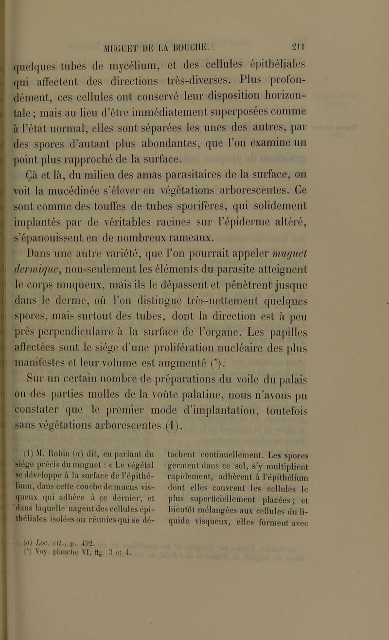 quelques tubes de mycélium, et des cellules épithéliales qui affectent des directions très-diverses. Plus profon- dément, ces cellules ont conservé leur disposition horizon- tale; mais au lieu d’être immédiatement superposées comme à l’état normal, elles sont séparées les unes des autres, par des spores d’autant plus abondantes, que l’on examine un point plus rapproché de la surface. Çà et là, du milieu des amas parasitaires de la surface, on voit la inucédinée s’élever en végétations arborescentes. Ce sont comme des touffes de tubes sporifères, qui solidement implantés par de véritables racines sur l’épiderme altéré, s’épanouissent en de nombreux rameaux. Dans une autre variété, que l’on pourrait appeler muyuet dermique, non-seulement les éléments du parasite atteignent le corps muqueux, mais ils le dépassent et pénètrent jusque dans le derme, où l’on distingue très-nettement quelques spores, mais surtout des tubes, dont la direction est à peu près perpendiculaire à la surface de l’organe. Les papilles affectées sont le siège d’une prolifération nucléaire des plus manifestes et leur volume est augmenté (*). Sur un certain nombre de préparations du voile du palais ou des parties molles de la voûte palatine, nous n’avons pu constater que le premier mode d’implantation, toutefois sans végétations arborescentes (1). (1) M. Robin (a) dit, en parlant du siège précis du muguet : « Le végétal se développe à la surface de l’épithé- lium, dans cette couche de mucus vis- queux qui adhère à ce dernier, et dans laquelle nagent des cellules épi- théliales isolées ou réunies qui se dé- (a) Loc. cil., |>. -19:2. (*) Voy. planche VI, ftg. 3 ot 4. tachent continuellement. Les spores germent dans ce sol, s’v multiplient rapidement, adhèrent à l'épithélium dont elles couvrent les cellules le plus superficiellement placées; et bientôt mélangées aux cellules du li- quide visqueux, elles forment avec