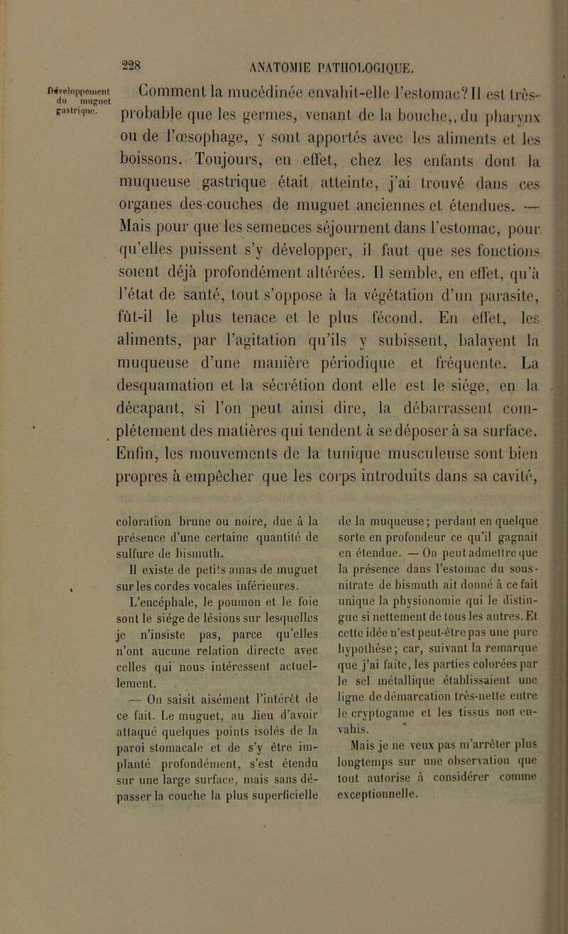 tr* a. Développement n muguet astriquo. Comment la mucédinée envahit-elle l’estomac? Il est très- probable que les germes, venant de la bouche,, du pharynx ou de l’œsophage, y sont apportés avec les aliments et les boissons. Toujours, en effet, chez les enfants dont la muqueuse gastrique était atteinte, j’ai trouvé dans ces organes des couches de muguet anciennes et étendues. — Mais pour que les semences séjournent dans l’estomac, pour qu’elles puissent s’y développer, il faut que ses fonctions soient déjà profondément altérées. 11 semble, en effet, qu’à l’état de santé, tout s’oppose à la végétation d’un parasite, lut-il le plus tenace et le plus fécond. En effet, les aliments, par l’agitation qu’ils y subissent, balayent la muqueuse d’une manière périodique et fréquente. La desquamation et la sécrétion dont elle est le siège, en la décapant, si l’on peut ainsi dire, la débarrassent com- plètement des matières qui tendent à se déposer à sa surface. Enfin, les mouvements de la tunique musculeuse sont bien propres à empêcher que les corps introduits dans sa cavité, colorulion brune ou noire, due à la présence d’une certaine quantité de sulfure de bismuth. 11 existe de petits amas de muguet surles cordes vocales inférieures. L’encéphale, le poumon et le foie sont le siège de lésions sur lesquelles je n’insiste pas, parce qu’elles n’ont aucune relation directe avec celles qui nous intéressent actuel- lement. — Ou saisit aisément l’intérêt de ce fait. Le muguet, au .lieu d’avoir attaqué quelques points isolés de la paroi stomacale et de s’y être im- planté profondément, s’est étendu sur une large surface, mais sans dé- passer la couche la plus superficielle de la muqueuse ; perdant en quelque sorte en profondeur ce qu’il gagnait en étendue. —On peut admettre que la présence dans l’estomac du sous- nilrate de bismuth ait donné à ce fait unique la physionomie qui le distin- gue si nettement de tous les autres.Et cette idée n’est peut-être pas une pure hypothèse; car, suivant la remarque que j’ai faite, les parties colorées par le sel métallique établissaient une ligne de démarcation très-nette entre le cryptogame et les tissus non en- vahis. Mais je ne veux pas m’arrêter plus longtemps sur une observation que tout autorise à considérer comme exceptionnelle.