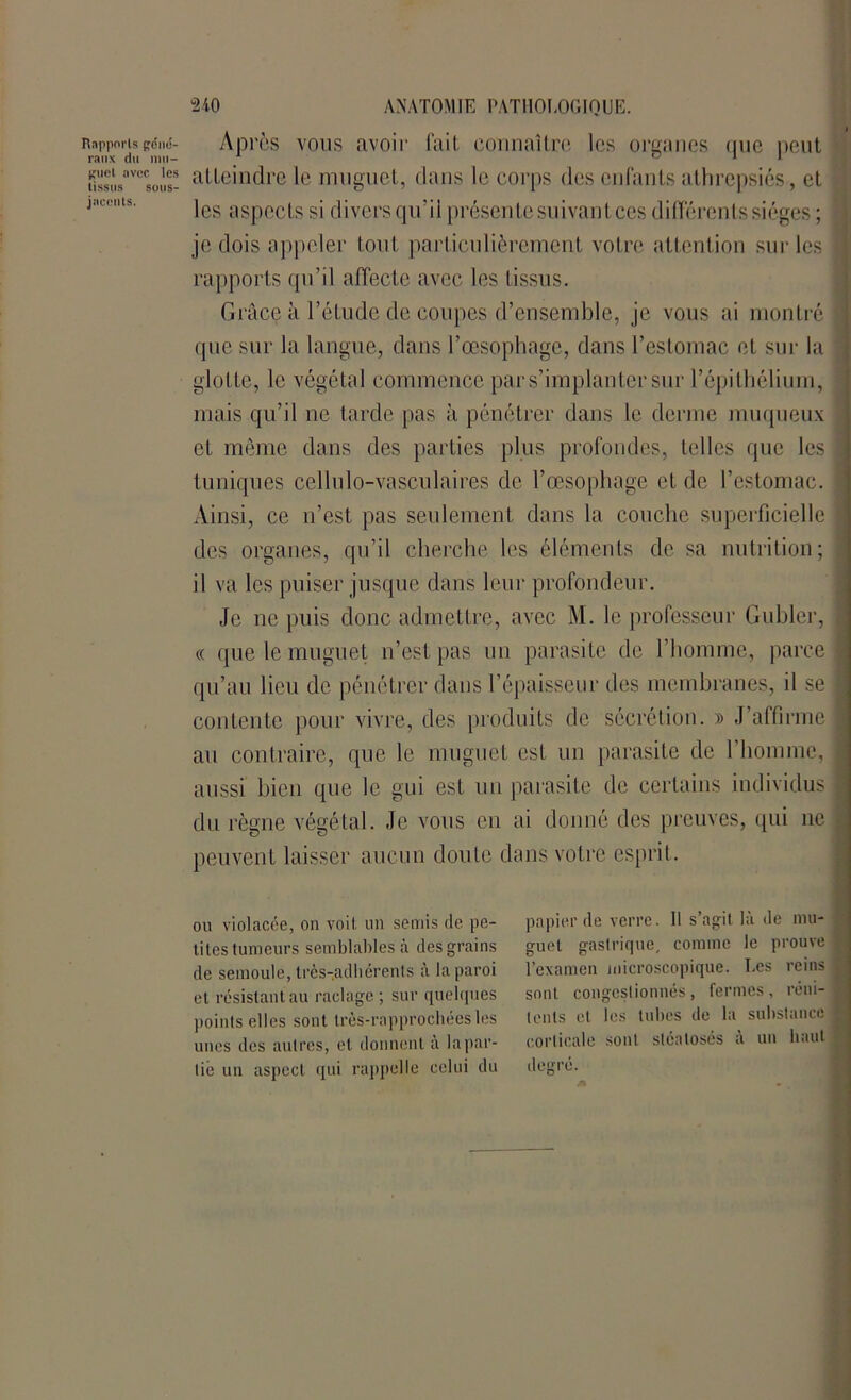 Rapports René- Après vous avoir fait connaître les organes nue peut ranx du mu— _ 83 1 1 ïissusnvcsoil.s- atteindre le muguet, dans le corps des enfants athrepsiés , et J,lc,!ts' les aspects si divers qu’il présente suivant ces différents sièges ; je dois appeler tout particulièrement votre attention sur les | rapports qu’il affecte avec les tissus. Grâce à l’éLudc de coupes d’ensemble, je vous ai montré ï. que sur la langue, dans l’œsophage, dans l’estomac et sur la glotte, le végétal commence par s’implanter sur l’épithélium, mais qu’il ne tarde pas à pénétrer dans le derme muqueux et même dans des parties plus profondes, telles que les I tuniques cellulo-vasculaires de l’œsophage et de l’estomac. I Ainsi, ce n’est pas seulement dans la couche superficielle i des organes, qu’il cherche les éléments de sa nutrition; il va les puiser jusque dans leur profondeur. Je ne puis donc admettre, avec M. le professeur Gubler, j « que le muguet n’est pas un parasite de l’homme, parce j qu’au lieu de pénétrer dans l’épaisseur des membranes, il se I contente pour vivre, des produits de sécrétion. » J’affirme I au contraire, que le muguet est un parasite de l’homme, j aussi bien que le gui est un parasite de certains individus | du règne végétal. Je vous en ai donné des preuves, qui ne | peuvent laisser aucun doute dans votre esprit. ou violacée, on voit un semis de pe- tites tumeurs semblables à des grains de semoule, Ires-adhérents à la paroi et résistant au raclage ; sur quelques points elles sont très-rapprochéesles unes des autres, et donnent à la par- tie un aspect qui rappelle celui du papier de verre. Il s’agit là de mu- guet gastrique, comme le prouve l’examen microscopique. Les reins sont congestionnés, fermes, réni- tenls et les tubes de la substance corticale sont sténtosés à un haut degré.