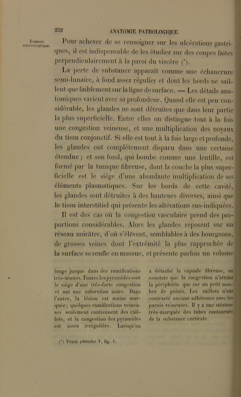 Examen microscopique ANATOMIE PATHOLOGIQUE. Pour achever de se renseigner sur les ulcérations gastri- ques, il est indispensable de les étudier sur des coupes laites ] perpendiculairement à la paroi du viscère (*). La perte de substance apparaît comme une échancrure j semi-lunaire, a Tond assez régulier et dont les bords ne sail- lent que faiblement sur la ligne de surface. — Les détails ana- f forniques varient avec sa profondeur. Quand elle est peu con- . sidérable, les glandes ne sont détruites que dans leur partie S la plus superficielle. Entre elles on distingue tout à la fois | une congestion veineuse, et une multiplication des noyaux du tissu conjonctif. Si elle est tout à la fois large et profonde, I les glandes ont complètement disparu dans une certaine I étendue; et son fond, qui bombe comme une lentille, est formé par la tunique fibreuse, dont la couche la plus super-1 ficielle est le siège d’une abondante multiplication de ses! éléments plasmatiques. Sur les bords de cette cavité, I les glandes sont détruites à des hauteurs diverses, ainsi que fl le tissu interstitiel qui présente les altérations sus-indiquées. - Il est des cas où la congestion vasculaire prend des pro- portions considérables. Alors les glandes reposent sur un réseau noirâtre, d’où s’élèvent, semblables à des bourgeons, de grosses veines dont l’extrémité la plus rapprochée de fl la surface se renfle en massue, et présente parfois un volume 'i longe jusque dans des ramifications très-ténues. Toutes les pyramides sont le siège d’une très-forte congestion et ont une coloration noire. Dans l’autre, la lésion est moins mar- quée; quelques ramifications veineu- ses seulement contiennent des cail- lots, et la congestion des pyramides est assez irrégulière. Lorsqu’on a détaché la capsule fibreuse, on constate que la congestion n’atteint la périphérie que sur un petit nom- bre de points. Les caillots n’ont contracté aucune adhérence avec les t parois veineuses. Il y a une stéatose très-marquée des tubes contournés de la substance corticale.