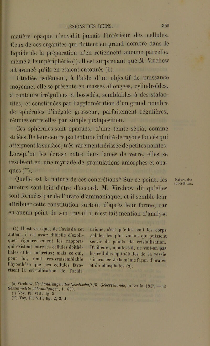 matière opaque n’envahit jamais l'intérieur clés cellules. Ceux de ces organites qui flottent en grand nombre dans le liquide de la préparation n’en retiennent aucune parcelle, même à leur périphérie (*). Il est surprenant que M. Virchow ait avancé qu’ils en étaient entourés (1). Étudiée isolément, à l’aide d’un objectif de puissance moyenne, elle se présente en masses allongées, cylindroïdes, à contours irréguliers et bosselés, semblables à des stalac- tites, et constituées par 1-agglomération d’un grand nombre de sphérules d’inégale grosseur, parfaitement régulières, réunies entre elles par simple juxtaposition. Ces sphérules sont opaques, d’une teinte sépia, comme striées.De leur centre partent une infinité de rayons foncés qui atteignent la surface, très-rarement hérissée de petites pointes. Lorsqu’on les écrase entre deux lames de verre, elles se résolvent en une myriade de granulations amorphes et opa- ques (**). Quelle est la nature de ces concrétions? Sur ce point, les auteurs sont loin d’être d’accord. M. Virchow dit qu’elles sont formées par de l’urate d’ammoniaque, et il semble leùr attribuer cette constitution surtout d’après leur forme, car on aucun point de son travail il n’est fait mention d’analyse (1) Il est vrai que, de l’avis de cet auteur, il est assez difficile d’expli- quer rigoureusement les rapports qui existent entre les cellules épithé- liales et les infarctus; mais ce qui, pour lui, rend très-vraisemblable l’hypothèse que ces cellules favo- risent la cristallisation de l’acide urique, c’est qu’elles sont les corps solides les plus voisins qui puissent servir de points de cristallisation. D’ailleurs, ajoute-t-il, ne voit-on pas les cellules épithéliales de la vessie s’incruster de la même façon d’urates et de phosphates (a). (a) Virchow, Verhandlungen der Gesellschaft fur Geberlskunde, in Berlin 18-17 — et 6esammellte abhamdlangen, I, 833. ’ ’ (*) Voy. PI. VIII, fig. 5. (**) Voy, PI. VIII, fig. 2, 3, -1. Nature des concrétions.