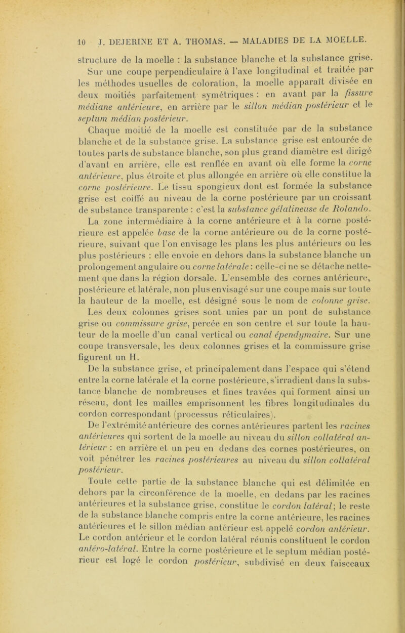 strucliire de la moelle : la siibslance blanche et la substance grise. Sur line coupe perpendiculaire à Taxe longitudinal et traitée par les méthodes usuelles de coloration, la moelle apparaît divisée en deux moitiés iiarlaitement symétriques : en avant par la fissure médiane antérieure^ en arrière par le sillon médian postérieur et le septum médian postérieur. Cha([ue moitié de la moelle est constituée par de la substance blanche et de la substance grise. La substance grise est entourée de toutes parts de substance blanche, son plus grand diamètre est dirigé d’avant en arrière, elle est renflée en avant où elle forme la corne antérieure., plus étroite et plus allongée en arrière où elle constitue la corne postérieure. Le tissu spongieux dont est formée la substance grise est coilïé au niveau de la corne postérieure par un croissant de substance transparente : c’est la substance gélatineuse de Rolando. La zone intermédiaire à la corne antérieure et à la corne posté- rieure est appelée base de la <‘orne antérieure ou de la corne posté- rieure, suivant que l’on envisage les plans les plus antérieurs ou les plus postérieurs : elle envoie en dehors dans la substance blanche un prolongement angulaire ou corne latérale : celle-ci ne se détache nette- ment que dans la région dorsale. L’ensemble des cornes antérieun*^ postérieure et latérale, non plus envisagé sur une coupe mais sur toute la hauteur de la moelle, est désigné sous le nom de colonne grise. Les deux colonnes grises sont unies par un pont de sulistance grise ou commissure grise, percée en son centre et sur toute la hau- teur de la moelle d’un canal vertical ou canal épendgmaire. Sur une coupe transversale, les deux colonnes grises et la commissure grise figurent un IL De la substance gi'ise, et principalement dans l’espace qui s’étend entre la corne latérale et la corne postérieure, s’irradient dans la subs- tance blanche de nombreuses et fines travées qui forment ainsi un réseau, dont les mailles emprisonnent les fibres longitudinales du cordon correspondant (processus réticulaires). De l’extrémité antérieure des cornes antérieures partent les racines antérieures qui sortent de la moelle au niveau du sillon collatéral an- terieur : en arrière et un peu en dedans des cornes postérieures, on voit pénétrer les racines postérieures au niveau du sillon collatéral postérieur. loute cette partie de la sulislance blanche qui est délimitée en dehors par la circontérence de la moelle, en dedans par les racines antérieures et la substance grise, constitue le cordon latéral] le reste de la substance blanche compi’is entre la corne antérieure, les racines antérieures et le sillon médian antérieur est appelé cordon antérieur. Le cordon antérieur et le cordon latéral réunis constituent le cordon anléro-laleral. Lntre la corne postérieure et le septum médian posté- rieui est loge le cordon postérieur, subdivisé en deux faisceaux