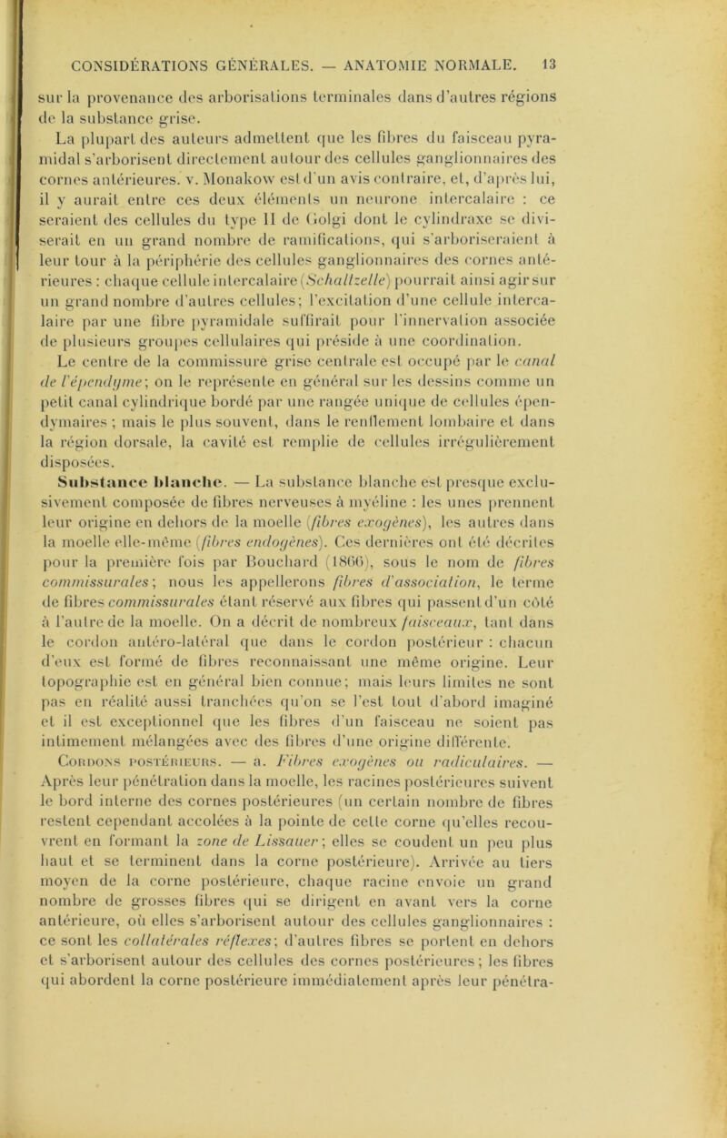 sur la provenance des arborisations terminales dans d’autres régions de la substance grise. La plupart des auteurs admettent que les fibres du faisceau pyra- midal s’arborisent directement autour des cellules ganglionnaires des cornes antérieures, v. Monakow est d'un avis contraire, et, d’après lui, il y aurait entre ces deux éléments un neurone intercalaire : ce seraient des cellules du type II de (lolgi dont le cylindraxe se divi- serait en un grand nombre de ramifications, qui s’arboriseraient à leur tour à la périphérie des cellules ganglionnaires des cornes anté- rieures : chaque cellule intercalaire (.S'cAa//ce//c) pourrait ainsi agir sur un grand nombre d’autres cellules; l’excitation d’une cellule interca- laire par une fibre pyramidale suffirait pour rinnervalion associée de plusieurs groupes cellulaires qui préside à uue coordination. Le centre de la commissure grise centrale est occupé par le canal de répendi/me; on le représente en général sur les dessins comme un petit canal cylindrique bordé par une rangée uni(|ue de cellules épen- dymaires ; mais le plus souvent, dans le renllement lombaire et dans la région dorsale, la cavité est remplie de cellules irrégulièrement disposées. Substance blanche. — La substance blanche est presque exclu- sivement composée de fd>res nerveuses à myéline : les unes |)renuent leur origine en dehors de la moelle {fibres exogènes), les autres dans la moelle elle-même [fibres endogènes). Ces dernières ont été déciites pour la première fois par Bouchard i 18()()), sous le nom de fibres convnissarales \ nous les appellerons fibres d'association, le terme de ^\h\'QS commissurales étant réservé aux fdjres qui passentd’uu coté à l’autre de la moelle. On a décrit de nombreux faisceaux, tant dans le cordon antéro-latéral que dans le cordon postérieur : chacun d’eux est formé de libres reconnaissant une môme origine. Leur topogra})hie est en général bien connue; mais leurs limites ne sont pas en réalité aussi tranchées qu’on se l’est tout d’abord imaginé et il est exceptionnel que les fibres d’un faisceau ne soient pas intimement mélangées avec des fd)rcs d’une origine dilVérente. ConnoNS nosTÉiuEuns. — a. Fibres exogènes ou radiculaires. — Après leur pénétration dans la moelle, les racines postérieures suivent le bord interne des cornes postérieures (un certain nombre de fibres restent cependant accolées à la pointe de cette corne qu’elles recou- vrent en formant la zone de Lissauer-, elles se coudent un peu plus haut et se terminent dans la corne postérieure). Arrivée au tiers moyen de la corne postérieure, chaque racine envoie un grand nombre de grosses fibres ([ui se dirigent en avant vers la corne antérieure, oi’i elles s’arborisent autour des cellules ganglionnaires : ce sont les collalèrales réflexes', d’autres fibres se portent en dehors et s’arborisent autour des cellules des cornes postérieures; les fibres ({ui abordent la corne postérieure immédiatement après leur pénétra-