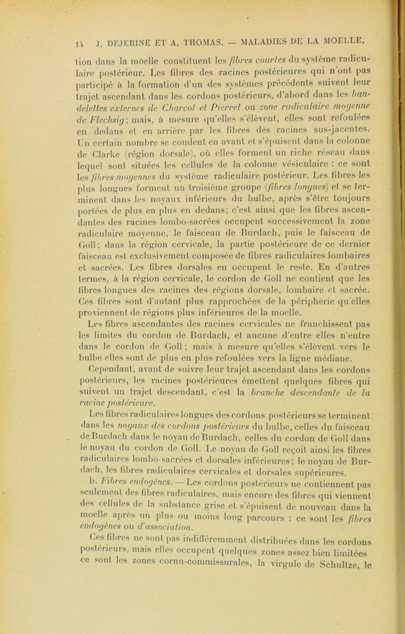 lion clans la moelle constituent les fibres coiirles du système radicu- laire postérieur. Les fd>res des racines postérieures cjui n ont pas participé à la l’ormation d’un des systèmes précédents suivent leur trajet ascendant dans les cordons postérieurs, d’abord dans les ban- delelles externes de Charcot et Pierret ou zone radiculaire moyenne de Ftechsig] mais, à mesure c|u’elles s’élèvent, elles sont refoulees en dedans et en arrière par les fibres des racines sus-jacentes. Un certain nombre se coudent en avant et s’épuisent dans la colonne de Clarke (région dorsale), où elles rorment un riche réseau dans lec[uel sont situées les cellules de la colonne vésiculaire : ce sont les fibres moyennes du système radiculaire postérieur. Les fdjres les plus longues forment un troisième groupe [fibres longues) et se ter- minent dans les noyaux inférieurs du bulbe, après s’être toujours portées de plus en plus en dedans; c’est ainsi cjue les fibres ascen- dantes des racines lombo-sacrées occupent successivement la zone radiculaire moyenne, le faisceau de Burdach, puis le faisceau de Coll ; dans la région cervicale, la partie postérieure de ce dernier faisceau est exclusivement composée de fibres radiculaires lombaires cl sacrées. Les fibres dorsales en occupent le reste. En d’autres termes, à la région cervicale, le cordon de Goll ne contient ([ue les fibres longues des racines des régions dorsale, lombaire et sacrée. Ces fibres sont d’autant plus rapprochées de la périphérie qu'elles proviennent de régions plus inférieures de la moelle. Les fibres ascendantes des racines cervicales ne franchissent pas les limites du cordon de Burdach, et aucune d’entre elles n’entre dans le cordon de Goll ; mais à mesure qu’elles s’élèvent vers le bulbe elles sont de plus en plus refoulées vers la ligne médiane. Cependant, avant de suivre leur trajet ascendant dans les cordons postérieurs, les racines postérieures émettent quelques fibres qui suivent un trajet descendant, c’est la branche descendante de la racine poslérieiire. Les fibres radiculaires longues des cordons postérieurs se terminent dans les noyaux des cordons postérieurs du bulbe, celles du faisceau de Burdach dans le noyau de Burdach, celles du cordon de Goll dans le noyau du cordon de Goll. Le noyau de Goll reçoit ainsi les fibres radiculaires lombo-sacrées et dorsales inférieures; le noyau de Bur- dach, les fibres radiculaires cervicales et dorsales supérieures. b. Httres endogènes. — Les cordons postérieurs ne contiennent pas seidemenl des fibres radiculaires, mais encore des fibres qui viennent des cellules de la substance grise et s’épuisent de nouveau dans la moelle après un plus ou moins long parcours : ce sont les fibres endogènes ou d'association. Ges filn-es ne sont pas iudilïéremment distribuées dans les cordons postérieurs, mais elles occupent quehiues zones assez bien limitées ce sont les zones cornu-commissurales, la virgule de Schultze, le