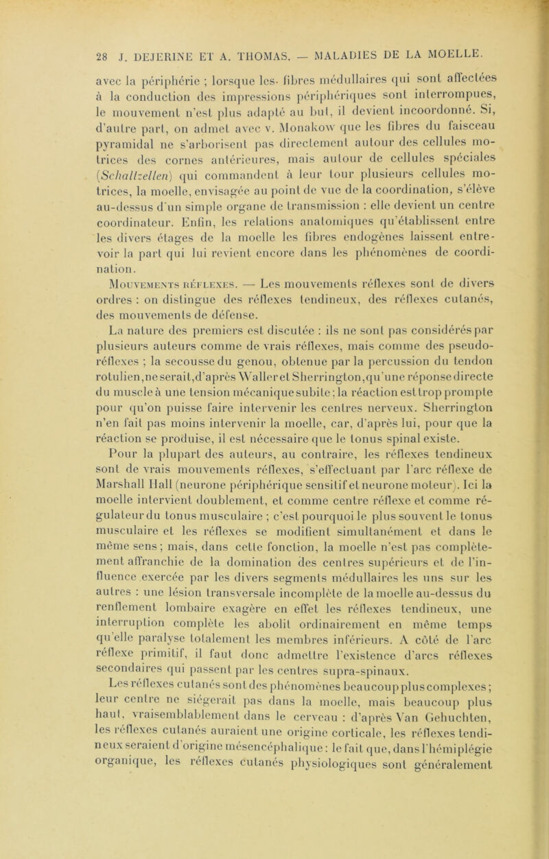 avec la péri[)héi‘ic ; lorsque les- fibres médullaires qui sont aflectées à la conduction des impressions périphériques sont interrompues, le mouvement n’est plus adapté au but, il devient incoordonné. Si, d’autre part, on admet avec v. Monakow que les fibres du faisceau pyramidal ne s’arborisent pas directement autour des cellules mo- trices des cornes antérieures, mais autour de cellules spéciales (Schallzellen) qui commandent à leur tour plusieurs cellules mo- trices, la moelle, envisagée au point de vue de la coordination, s’élève au-dessus d im simple organe de transmission : elle devient un centre coordinateur. Enfin, les relations anatomi(|ues qu’établissent entre les divers étages de la moelle les fibres endogènes laissent entre- voir la part qui lui revient encore dans les phénomènes de coordi- nation. Mouvements uéelexes. — Les mouvements réllexes sont de divers ordres : on distingue des réllexes tendineux, des réllexes cutanés, des mouvements de défense. La nature des premiers est discutée : ils ne sont pas considérés par plusieurs auteurs comme de vrais réllexes, mais comme des pseudo- rétlexes ; la secousse du genou, obtenue parla percussion du tendon rotulien,ne serait,d’après \\’alleretSherrington,qu’une réponsedirecte du muscle à une tension mécanique subite; la réaction est trop prompte pour qu’on puisse faire intervenir les centres nerveux. Sherrington n’en fait pas moins intervenir la moelle, car, d’après lui, pour que la réaction se produise, il est nécessaire que le tonus spinal existe. Pour la plupart des auteurs, au contraire, les réflexes tendineux sont de vrais mouvements réflexes, s’etfectuant par l’arc réflexe de Marshall Hall (neurone périphérique sensitifet neurone moteur j. Ici la moelle intervient doublement, et comme centre réflexe et comme ré- gulateurdu tonus musculaire ; c’est pourquoi le plus souvent le tonus musculaire et les réflexes se modifient simultanément et dans le même sens; mais, dans cette fonction, la moelle n’est pas complète- ment affranchie de la domination des centres supérieurs et de l’in- fluence exercée par les divers segments médullaires les uns sur les autres ; une lésion transversale incomplète de la moelle au-dessus du renflement lombaire exagère en effet les réflexes tendineux, une interruption complète les abolit ordinairement en meme temps qu elle paralyse totalement les membres inférieurs. A côté de l’arc réflexe primitif, il faut donc admettre l’existence d’arcs réflexes secondaires qui passent par les centres supra-spinaux. Les réflexes cutanés sontdcs phénomènes beaucouppluscomplexes ; leur centre ne siégerait pas dans la moelle, mais beaucoup plus haut, vraisemblablement dans le cerveau: d’après ^ an Gehuchten, les réllexes cutanés auraient une origine corticale, les réflexes tendi- neux seraient d origine mésencéphalicjue : le fait que, dans I hémiplégie organi(j[ue, les réllexes cutanés physiologiques sont généralement