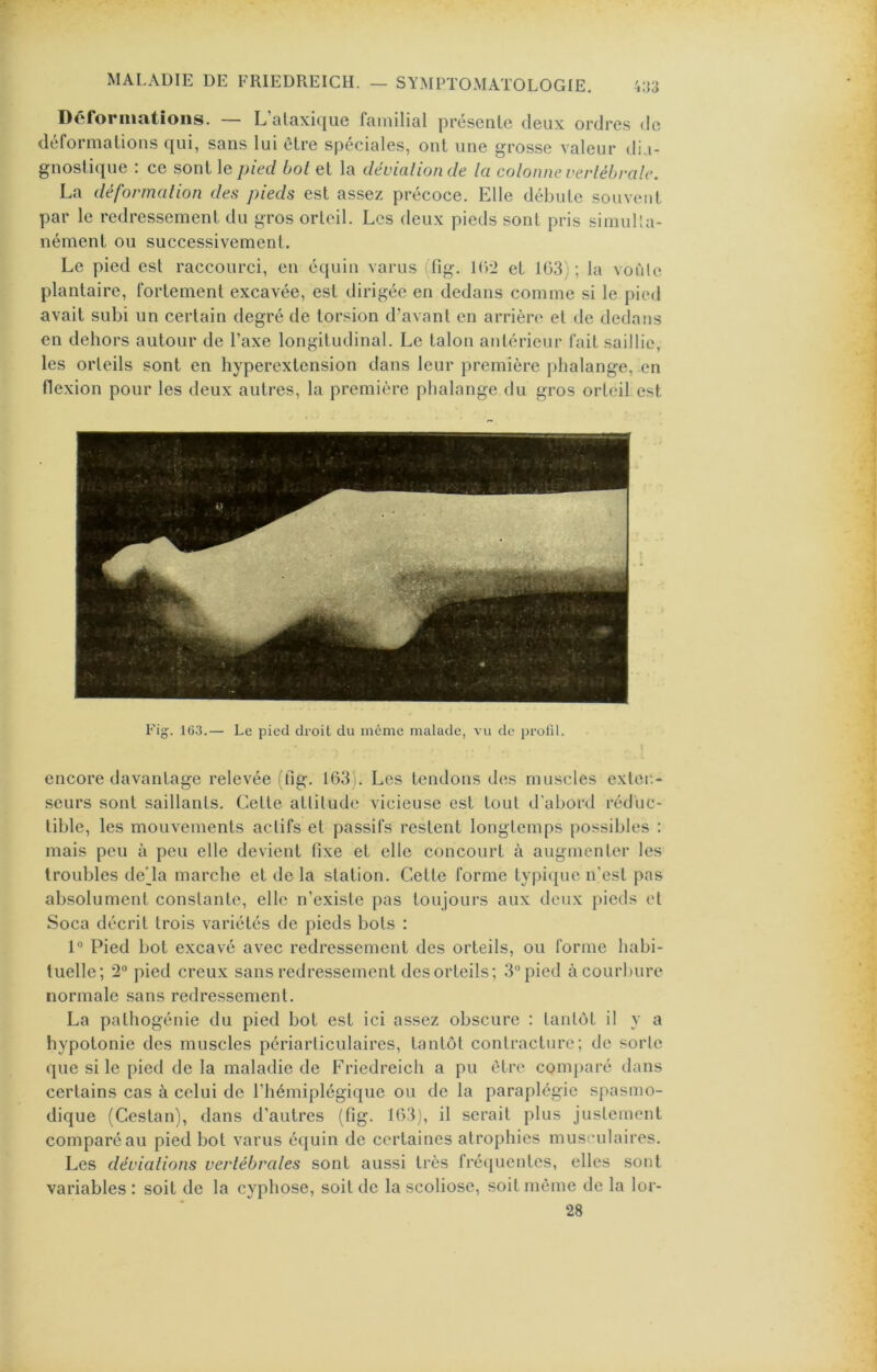 Déformations. — L’alaxique familial présente deux ordres de déformations qui, sans lui être spéciales, ont une grosse valeur dia- gnostique ; ce sont le pied bot et la déviation de la colonne vertébrale. La déformation des pieds est assez précoce. Elle débute souvent par le redressement du gros orteil. Les deux pieds sont pris simulta- nément ou successivement. Le pied est raccourci, en équin varus (fig. lCri et 10.3); la voùle plantaire, fortement excavée, est dirigée en dedans comme si le pied avait subi un certain degré de torsion d’avant en arrière et de dedans en dehors autour de l’axe longitudinal. Le talon antérieur fait saillie, les orteils sont en hyperextension dans leur première ])halange, en flexion pour les deux autres, la première phalange du gros orteil est encore davantage relevée (fig. 163). Les tendons des muscles exter.- scurs sont saillants. Cette attitude vicieuse est tout d'abord réduc- tible, les mouvements actifs et passifs restent longtemps possibles : mais peu à peu elle devient fixe et elle concourt à augmenter les troubles de'Ja marche et de la station. Cette forme typique n’est pas absolument constante, elle n’existe pas toujours aux deux pieds et Soca décrit trois variétés de pieds bots : 1° Pied bot excavé avec redressement des orteils, ou forme habi- tuelle; 2“ pied creux sans redressement des orteils; 3®pied à courbure normale sans redressement. La pathogénie du pied bot est ici assez obscure ; tantôt il y a hypotonie des muscles périarticulaires, tantôt contracture; de sorte que si le pied de la maladie de Friedreich a pu être comparé dans certains cas à celui de l’hémiplégique ou de la paraplégie spasmo- dique (Cestan), dans d’autres (fig. 103), il serait plus justement comparé au pied bot varus équin de certaines atrophies musculaires. Les déviations vertébrales sont aussi très fréquentes, elles sont variables: soit de la cyphose, soit de la scoliose, soit même de la lor- 28