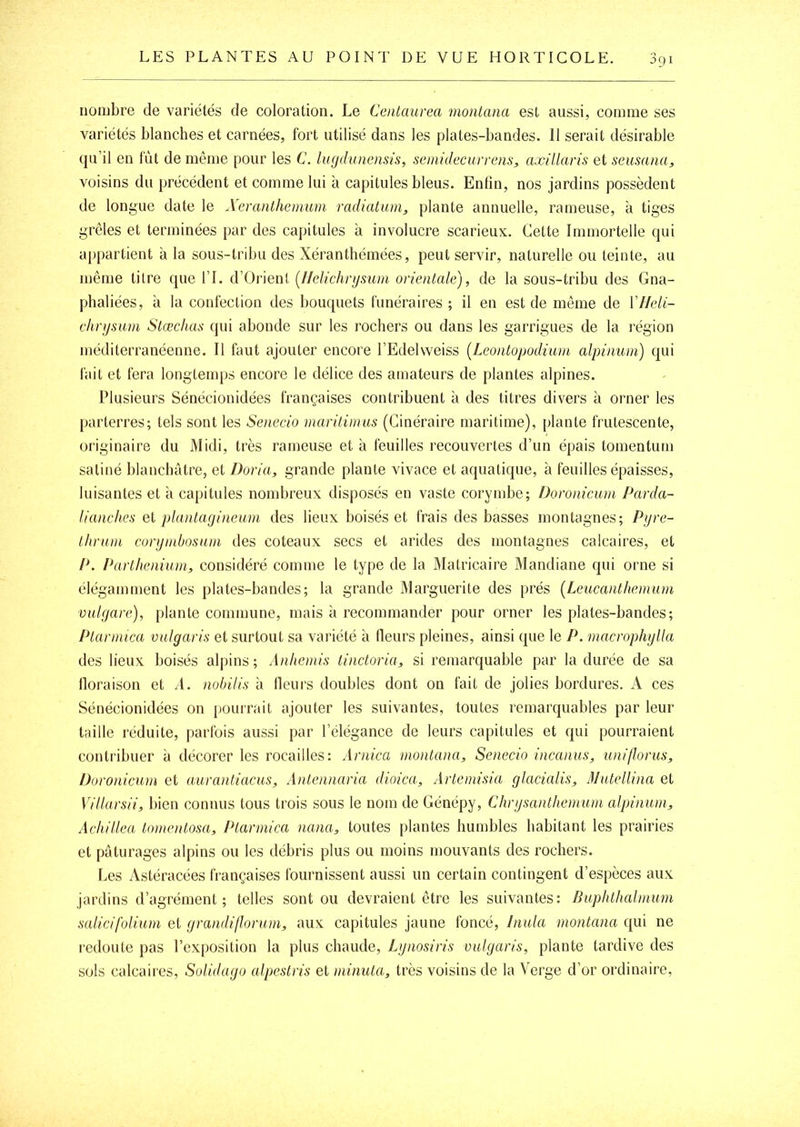 nombre de variétés de coloration. Le Ceiitaurea montana est aussi, comme ses variétés blanches et carnées, fort utilisé dans les plates-bandes. 11 serait désirable qu’il en fût de même pour les C. lugdunensis, semidecurrens, axiilaris et seusana, voisins du précédent et comme lui à capitules bleus. Enfin, nos jardins possèdent de longue date le A'eranthemum radîatum, plante annuelle, rameuse, à tiges grêles et terminées par des capitules à involucre scarieux. Cette Immortelle qui appartient à la sous-tribu des Xérantbémées, peut servir, naturelle ou teinte, au même titre que l’I. d’Orient (IleUchrysum orientale), de la sous-tribu des Gna- phaliées, à la confection des bouquets funéraires ; il en est de même de r//e/<- dinjsani Stœchaü qui abonde sur les rochers ou dans les garrigues de la région méditerranéenne. Il faut ajouter encore l’Edelweiss {Leontopodiiun alpiimm) qui fait et fera longtemps encore le délice des amateurs de plantes alpines. Plusieurs Sénécionidées françaises contribuent à des titres divers à orner les parterres; tels sont les Senecio maritinius (Cinéraire maritime), plante frutescente, originaire du Midi, très rameuse et à feuilles recouvertes d’un épais tomentum satiné blanchâtre, et Doria, grande plante vivace et aquatique, à feuilles épaisses, luisantes et à capitules nombreux disposés en vaste corymbe; Doronicum Parda- lianches et plantagineum des lieux boisés et frais des basses montagnes; Pgre- ihrum corginbosnin des coteaux secs et arides des montagnes calcaires, et /C Partheniim, considéré comme le type de la Matricaire Mandiane qui orne si élégamment les plates-bandes; la grande Marguerite des prés (Leucanthemum vulgare), plante commune, mais à recommander pour orner les plates-bandes; Plannica vulgaris et surtout sa variété à Heurs pleines, ainsi que le P. macrophglla des lieux boisés alpins; Anhemis linctoria, si remarquable par la durée de sa lloraison et A. nobUis à Heurs doubles dont on fait de jolies bordures. A ces Sénécionidées on pourrait ajouter les suivantes, toutes remarquables par leur taille réduite, parfois aussi par l’élégance de leurs capitules et qui pourraient contribuer à décorer les rocailles: Arnica montana, Senecio incanus, uniflorus, Doronicum et aurantiacus, Antennaria dioica, Artemisia glacialis, iMutellina et Villarsii, bien connus tous trois sous le nom de Génépy, Chrgsanthenium alpinum, AcIiiUea tomentosa, Ptarmica nana, toutes plantes humbles habitant les prairies et pâturages alpins ou les débris plus ou moins mouvants des rochers. Les Astéracées françaises fournissent aussi un certain contingent d’espèces aux jardins d’agrément; telles sont ou devraient être les suivantes: Buphthalmum sali ci folium et grandijlorum, aux capitules jaune foncé, liiula montana qui ne redoute pas l’exposition la plus chaude, Lgnosiris vulgaris, plante tardive des sols calcaires, Solidago alpestris et minuta, très voisins de la Verge d’or ordinaire.