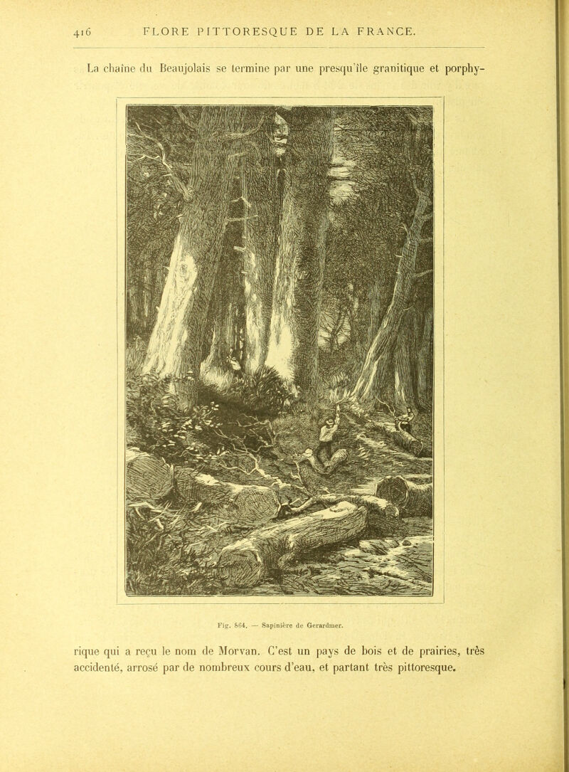 La chaîne du Beaujolais se termine par une presqu’île granitique et porphy- Fig. &C4. — Sapinière de Gerardmer. rique qui a reçu le nom de Morvan. C’est un pays de bois et de prairies, très accidenté, arrosé par de nombreux cours d’eau, et partant très pittoresque.