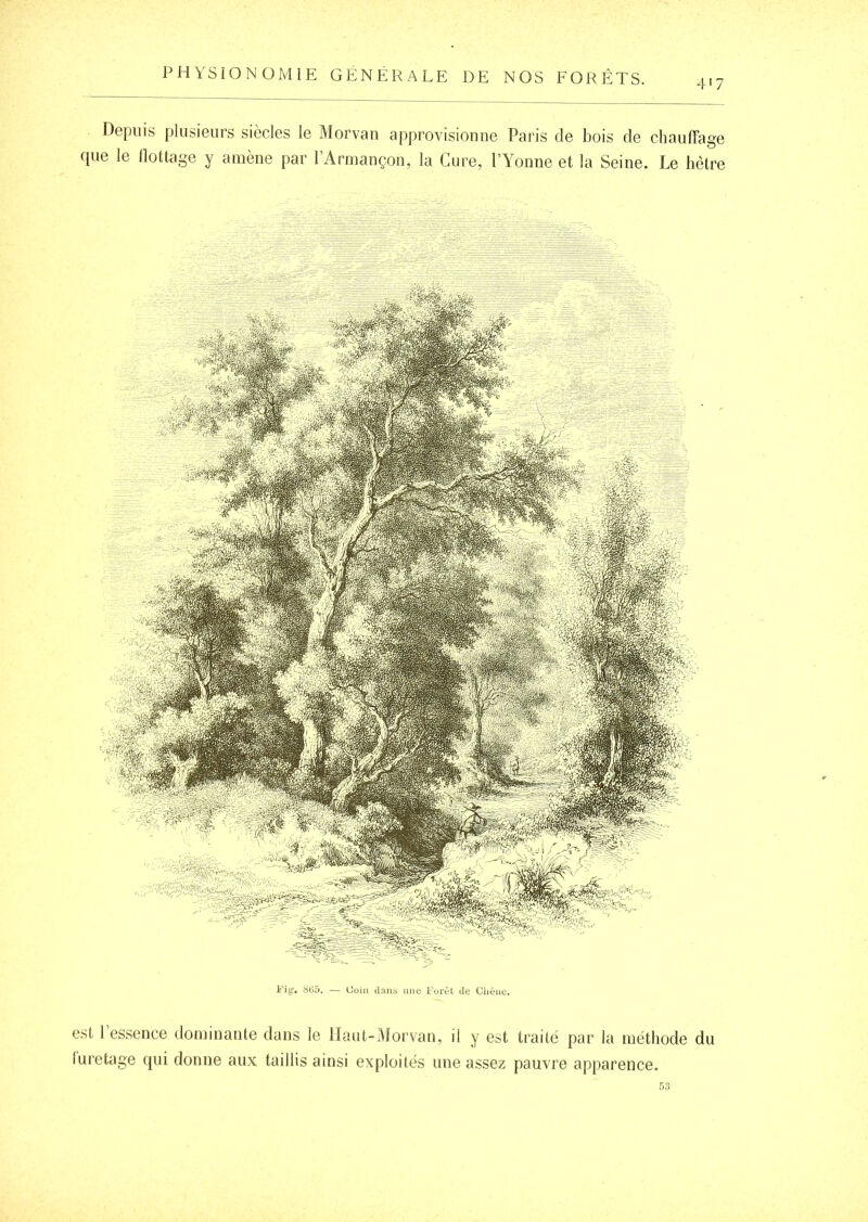 i'7 Depuis plusieurs siècles le Morvan approvisionne Paris de bois de chauffage que le llottage y amène par l’Armançon, la Cure, PYonne et la Seine. Le hêtre 8(35. — Coin dans une Forêt de Chêne. est l’essence dominante dans le Haut-Morvan, il y est traite par la méthode du luretage qui donne aux taillis ainsi exploités une assez pauvre apparence. 53