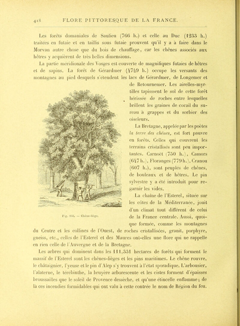 Les forêts domaniales de Saulieu (76G li.) et celle au Duc (1233 h.) traitées en futaie et en taillis sous futaie prouvent qu’il y a à faire dans le Morvan autre chose que du bois de chaufTage, car les chênes associés aux hêtres y acquièrent de très belles dimensions. La partie méridionale des Vosges est couverte de magnifiques futaies de hêtres et de sapins. La forêt de Gérardmer (4749 h.) occupe les versants des montagnes au pied desquels s’étendent les lacs de Gérardmer, de Longemer et du Centre et les collines de l’Ouest, de roches cristallisées, granit, porphyre, gneiss, etc., celles de l’Esterel et des Maures ont-elles une llore qui ne rappelle en rien celle de l’Auvergne et de la Bretagne. Les arbres qui dominent dans les 111,331 hectares de forêts qui forment le massif de l’Esterel sont les chênes-lièges et les pins maritimes. Le chêne rouvre, le châtaignier, l’yeuse et le pin d’Alep s’y trouvent à l’état sporadique. L’arbousier, l’alaterne, le térébinthe, la bruyère arborescente et les cistes forment d’épaisses broussailles que le soleil de Provence dessèche, et qu’une étincelle enflamme; de là ces incendies formidables qui ont valu à cette contrée le nom de Région du feu. de Retournemer. Les airelles-myr- tilles tapisssent le sol de cette forêt hérissée de roches entre lesquelles brillent les graines de corail du su- reau à grappes et du sorbier des oiseleurs. La Bretagne, appelée par les poètes la terre des chênes, est fort pauvre en forêts. Celles qui couvrent les (errains cristallisés sont peu impor- tantes. Carnoët (750 h.), Camors (G47 h.), Floranges (779 b.), Cranou (GÜ7 h.), sont peuplés de chênes, de bouleaux et de hêtres. Le pin sylvestre y a été introduit pour re- garnir les vides. Fig. SGG. — Chêne-liège. La chaîne de l’Esterel, située sur les côtes de la .Méditerranée, jouit d’un climat tout différent de celui de la France centrale. Aussi, quoi- que formée, comme les montagnes