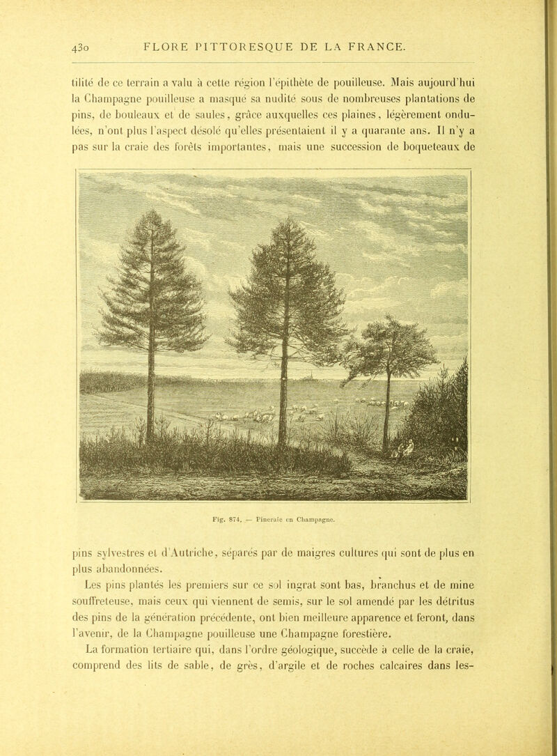 tilité de ce terrain a valu à cette région l’épilliète de pouilleuse. Mais aujourd’hui la Champagne pouilleuse a masqué sa nudité sous de nombreuses plantations de pins, de bouleaux et de saules, grâce auxquelles ces plaines, légèrement ondu- lées, n’ont plus l’aspect désolé qu’elles présentaient il y a quarante ans. Il n’y a pas sur la craie des forêts importantes, mais une succession de boqueteaux de Fig. 874. — Pineraie en Cliampngne. pins sylvestres et d Auti'iche, séparés par de maigres cultures (jui sont de [)lus en plus abandonnées. Les pins plantés les premiers sur ce sol ingrat sont bas, brancbus et de mine souffreteuse, mais ceux qui viennent de semis, sur le sol amendé par les détritus des pins de la génération précédente, ont bien meilleure apparence et feront, dans l’avenir, de la Champagne pouilleuse une Champagne forestière. La formation tertiaire qui, dans l’ordre géologique, succède à celle de la craie, comprend des lits de sable, de grès, d’argile et de roches calcaires dans les-